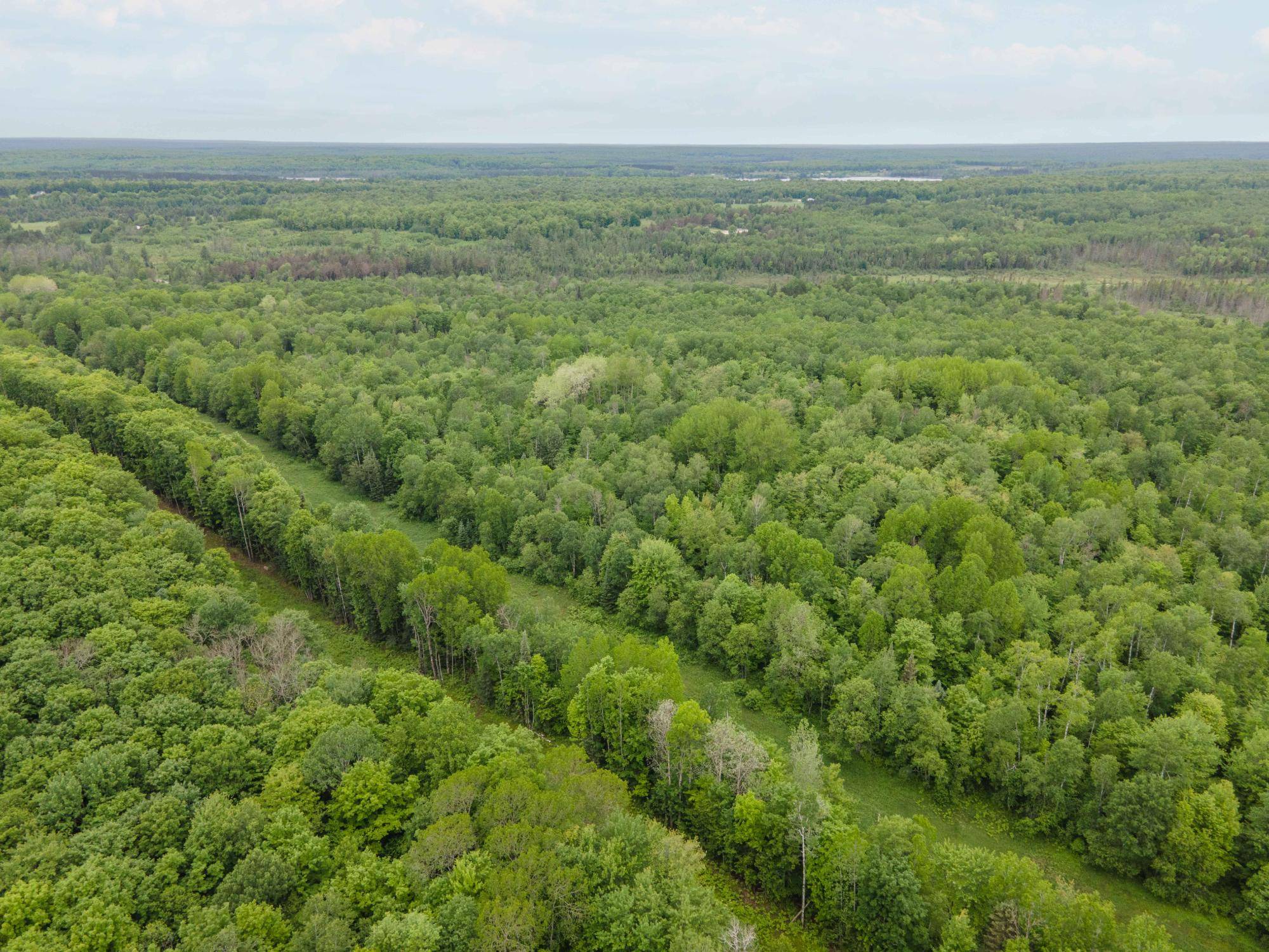 Iron River, MI 49935,30acres WARDS TRL
