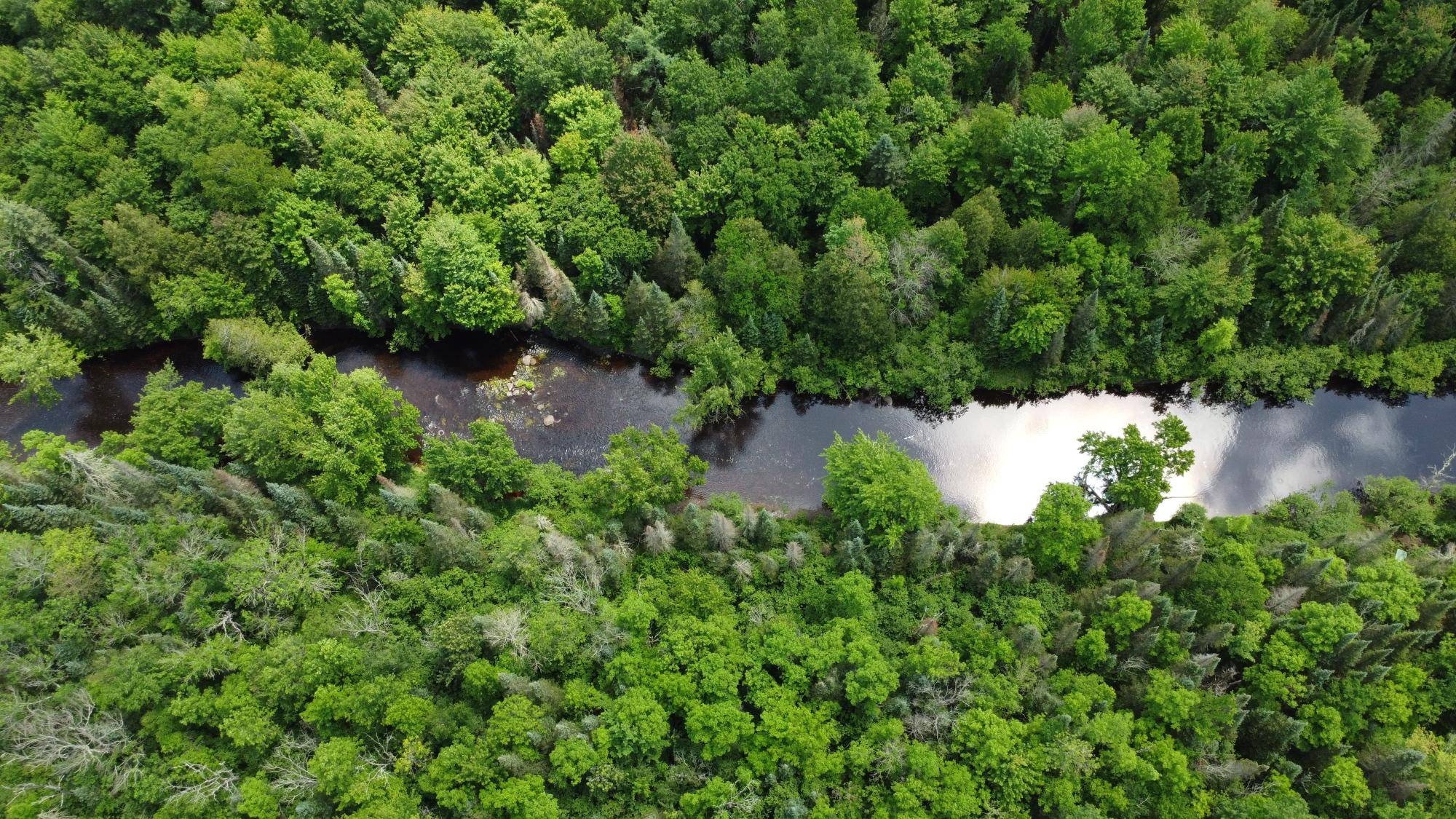 Glidden, WI 54527,76557 DERINGER RD