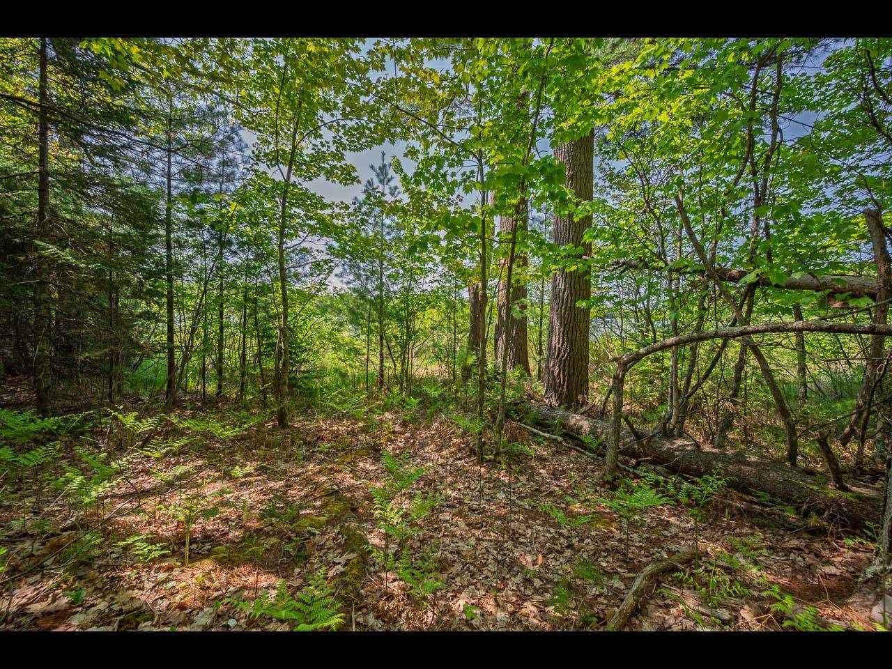 Eagle River, WI 54521,Lot 24 BONITA PT