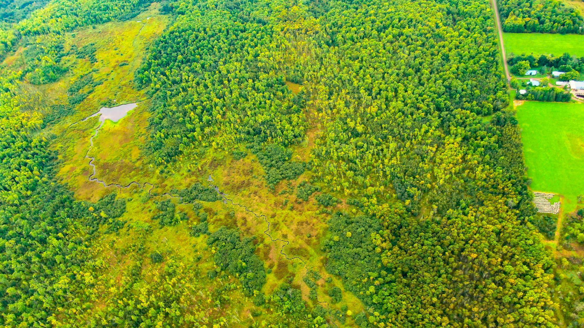 WI 54766,00 WILDFLOWER RD