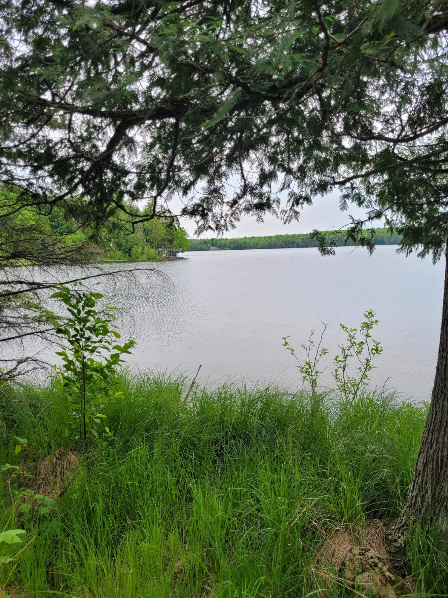 Winchester, WI 54557,ON PARDEE LAKE LN E