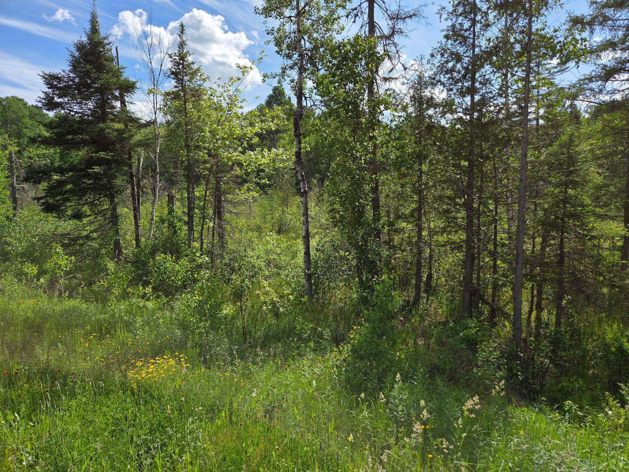 Watersmeet, MI 49969,40 AC HWY 45