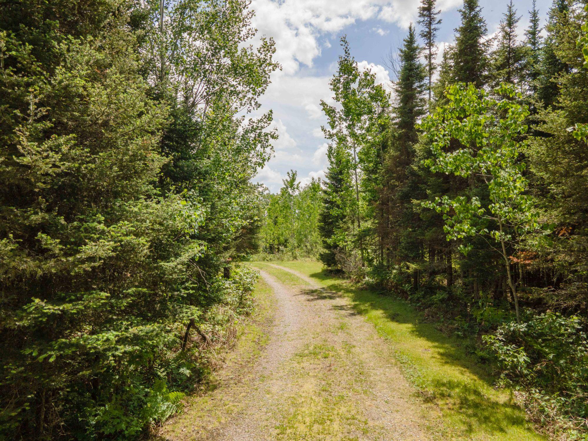 Iron River, MI 49935,453 GOLD MINE RD