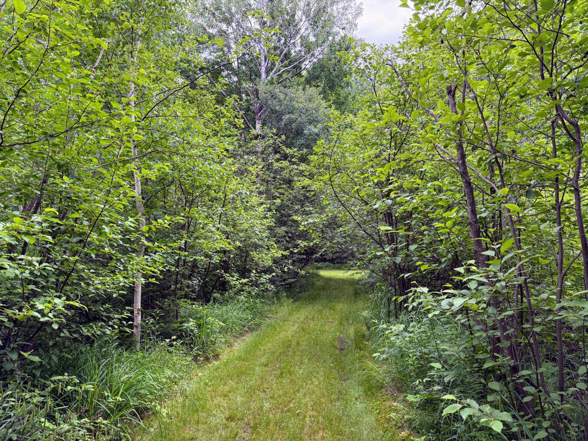 Phillips, WI 54555,N9078 SOO LAKE RD E