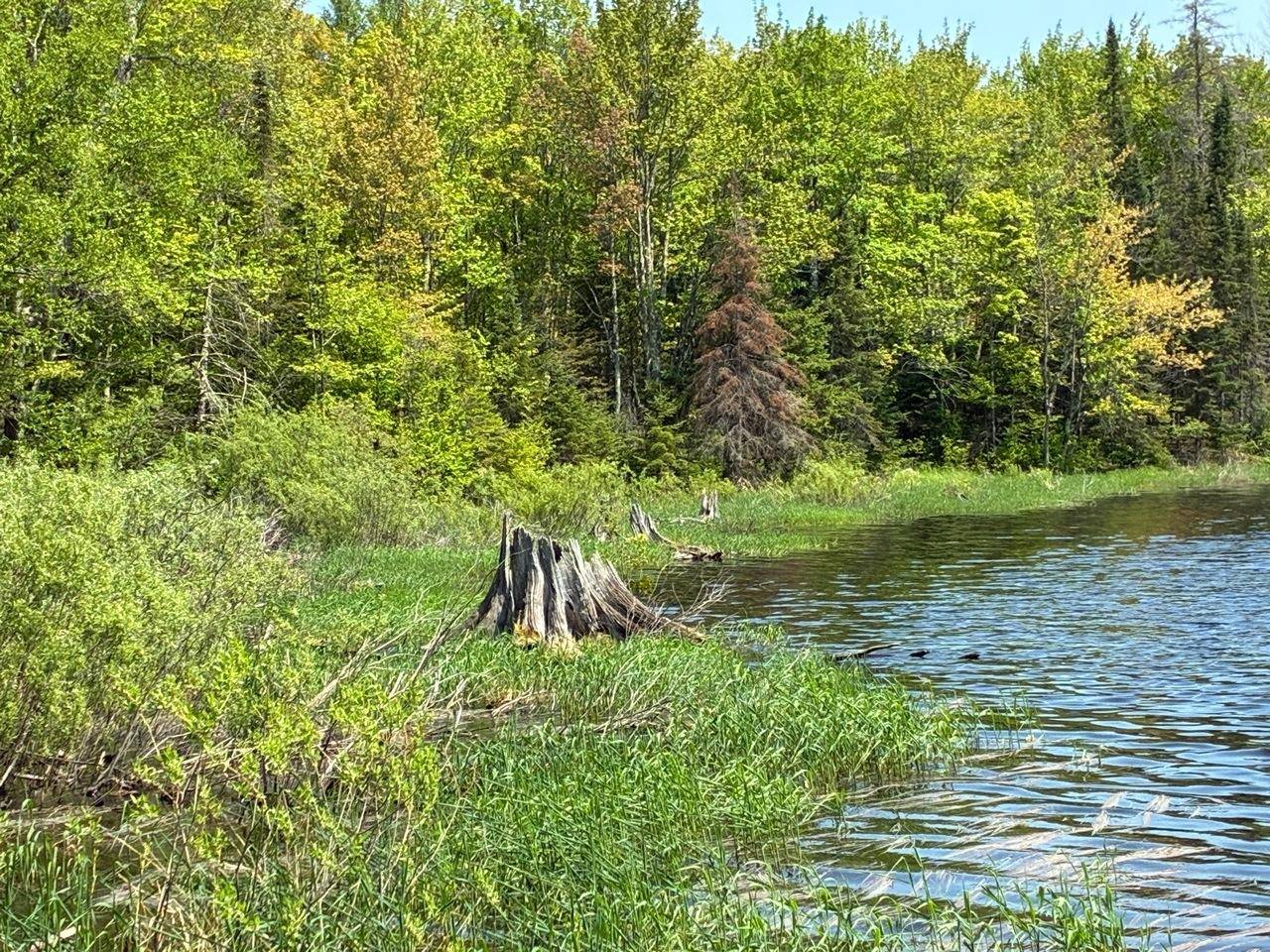 Pence, WI 54550,Off SPRING CAMP RD