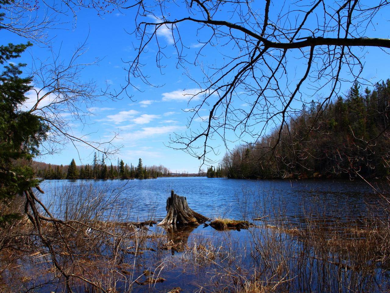 Pence, WI 54550,Off SPRING CAMP RD