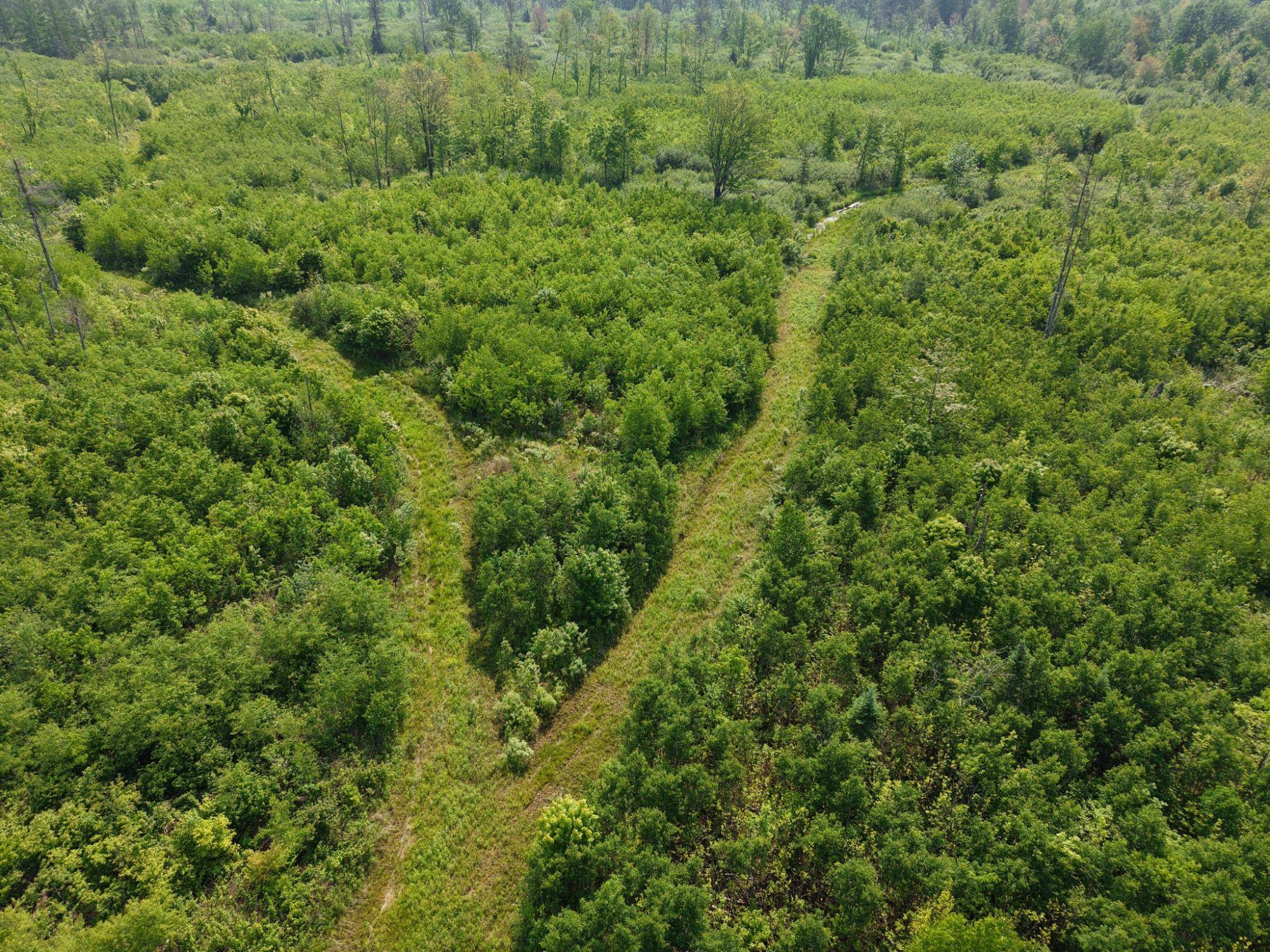 Rib Lake, WI 54470,N5858 RIVER RD