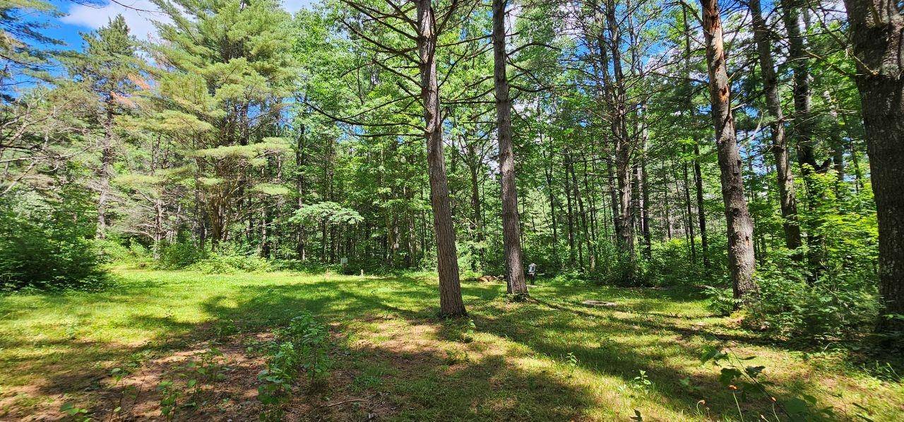 Manitowish Waters, WI 54545,14223 POWELL RD