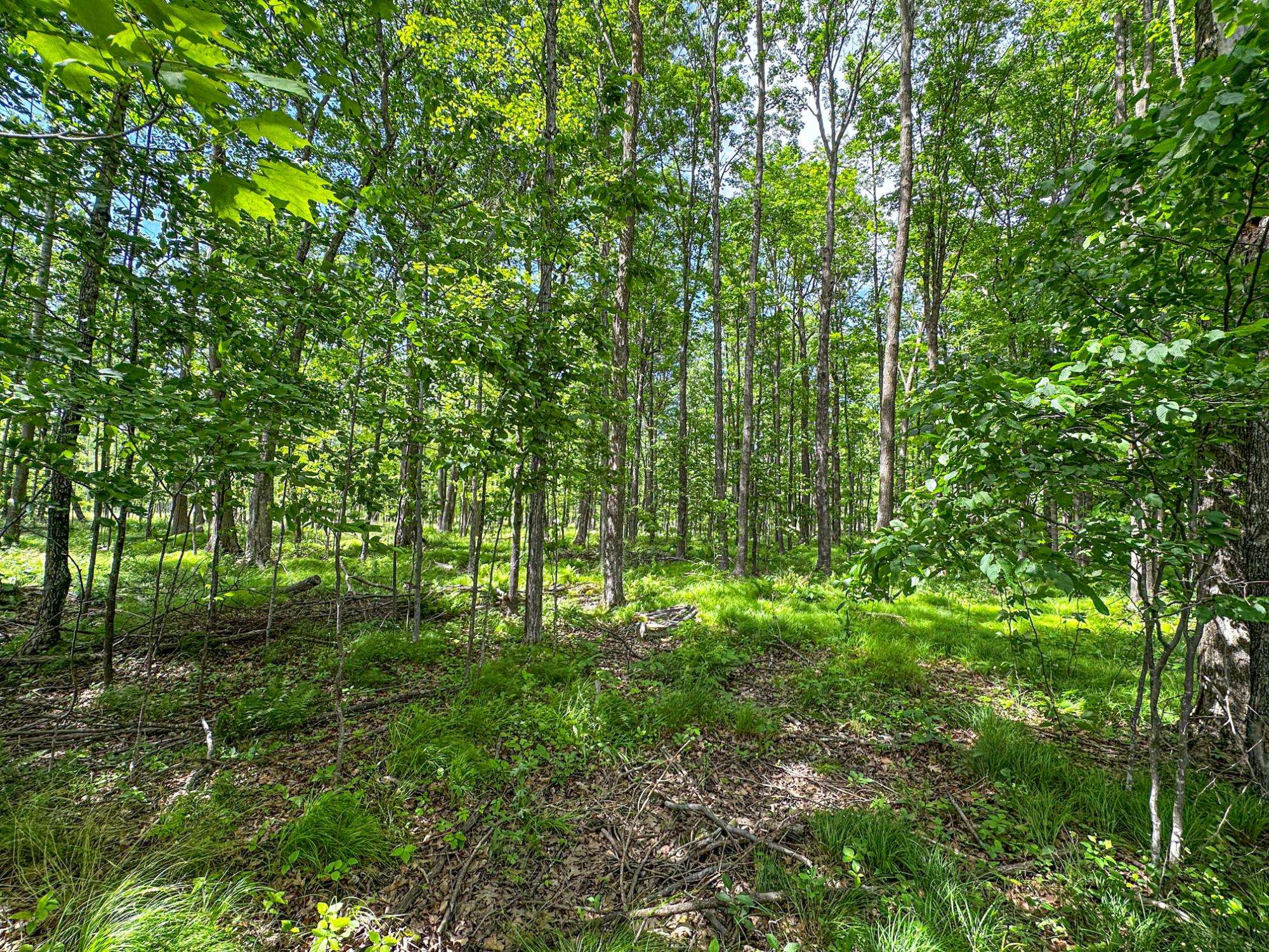 Catawba, WI 54515,W9554 LIBERTY LN