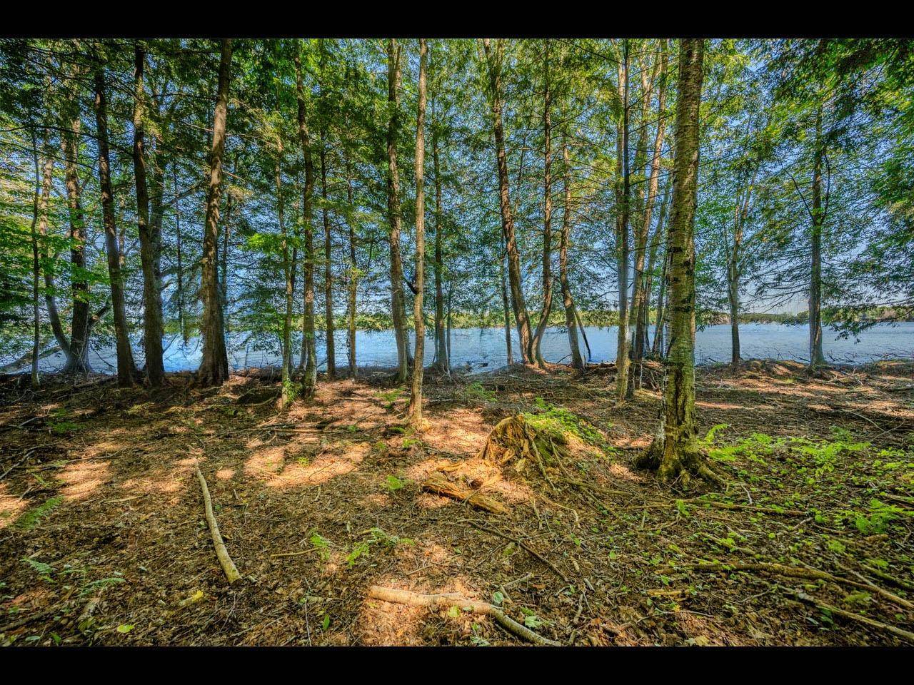 Land O Lakes, WI 54540,ON-LOT 9 INDIAN LAKE RD