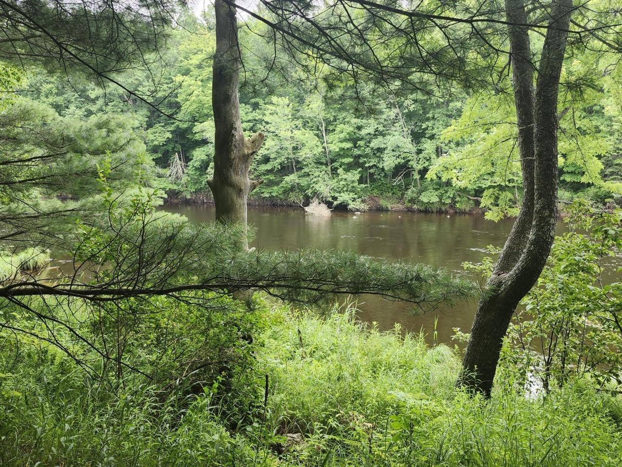 Ogema, WI 54459,ON LUKES HEIGHTS RD #Lot 13