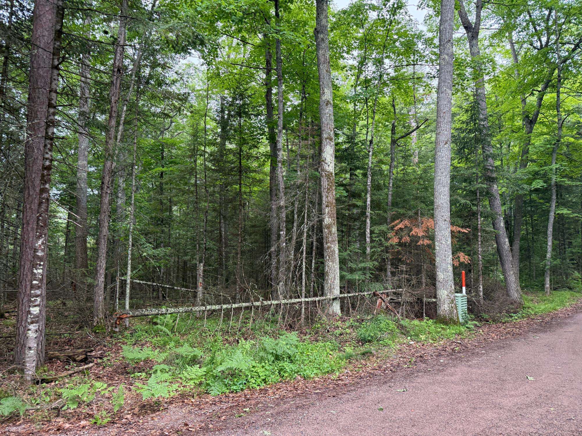 Harshaw, WI 54529,40AC STEELE RD