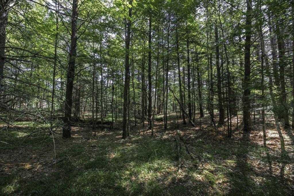 WI 54568,Lot 1 PINE CONE DR
