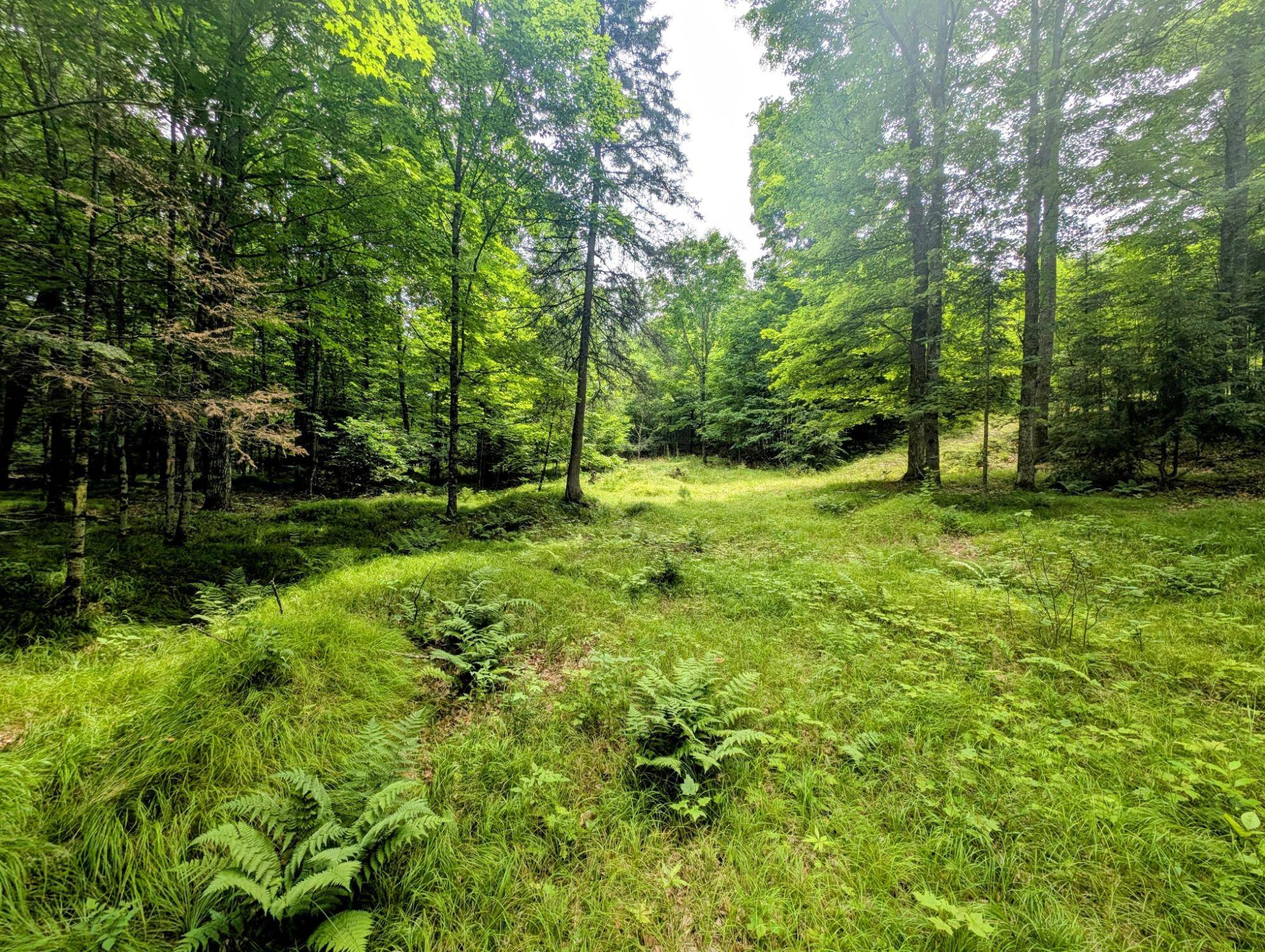 Eagle River, WI 54521,Lot 5 GRACE LN