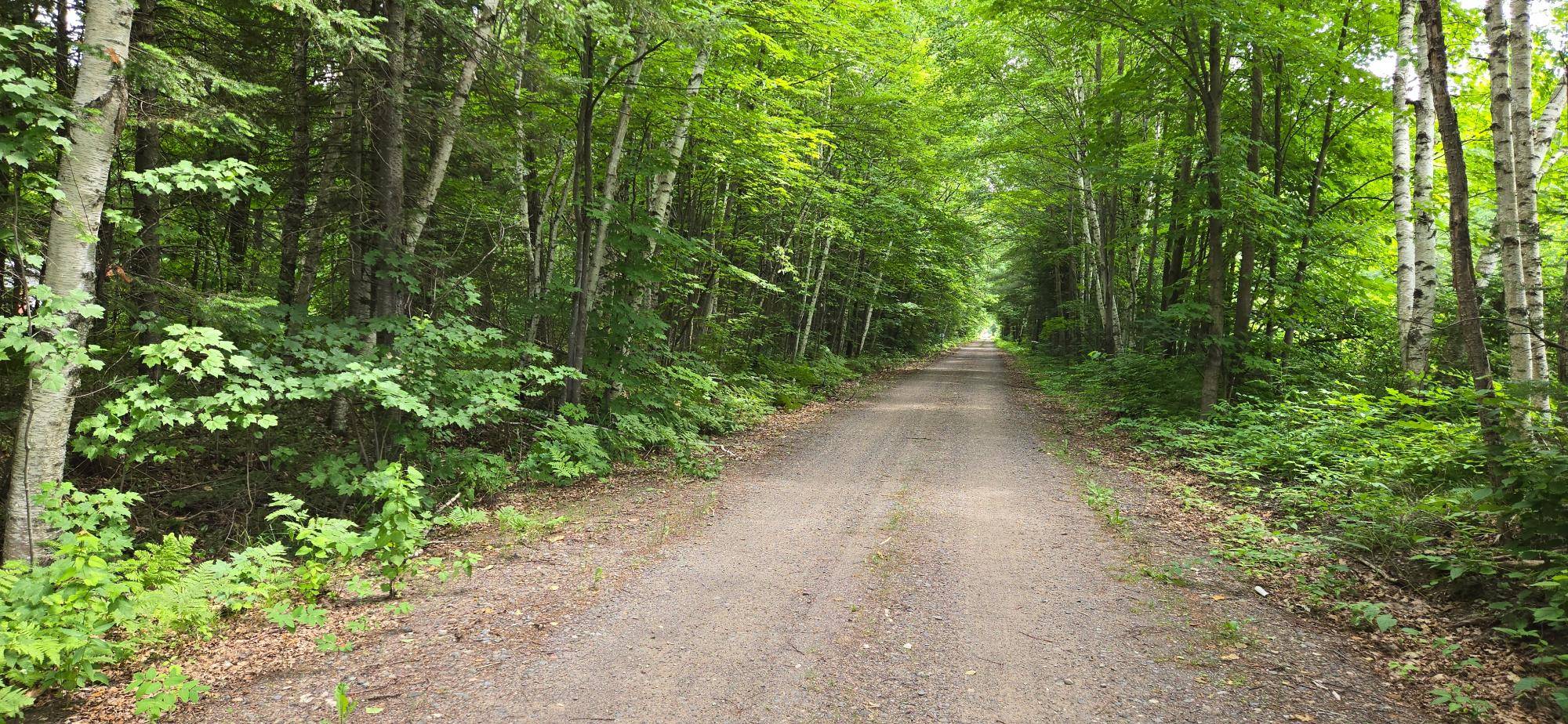 Lac Du Flambeau, WI 54538,Lot 7 BOLTON LAKE LN W