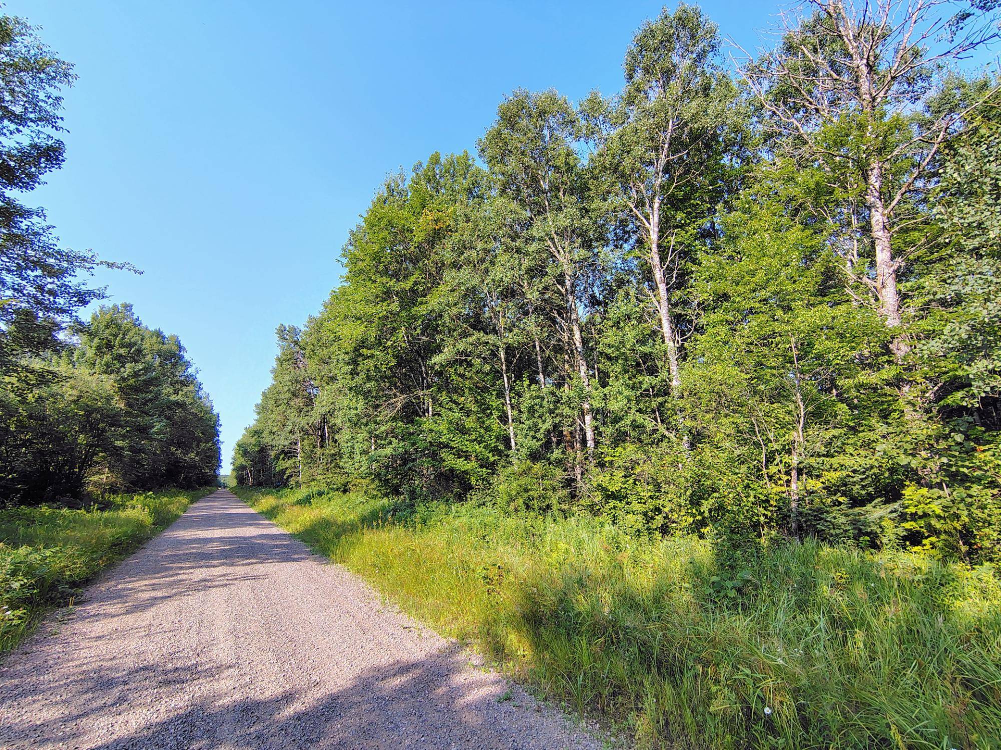 Glidden, WI 54514,ON RIGHT OF WAY RD #20 +/- AC