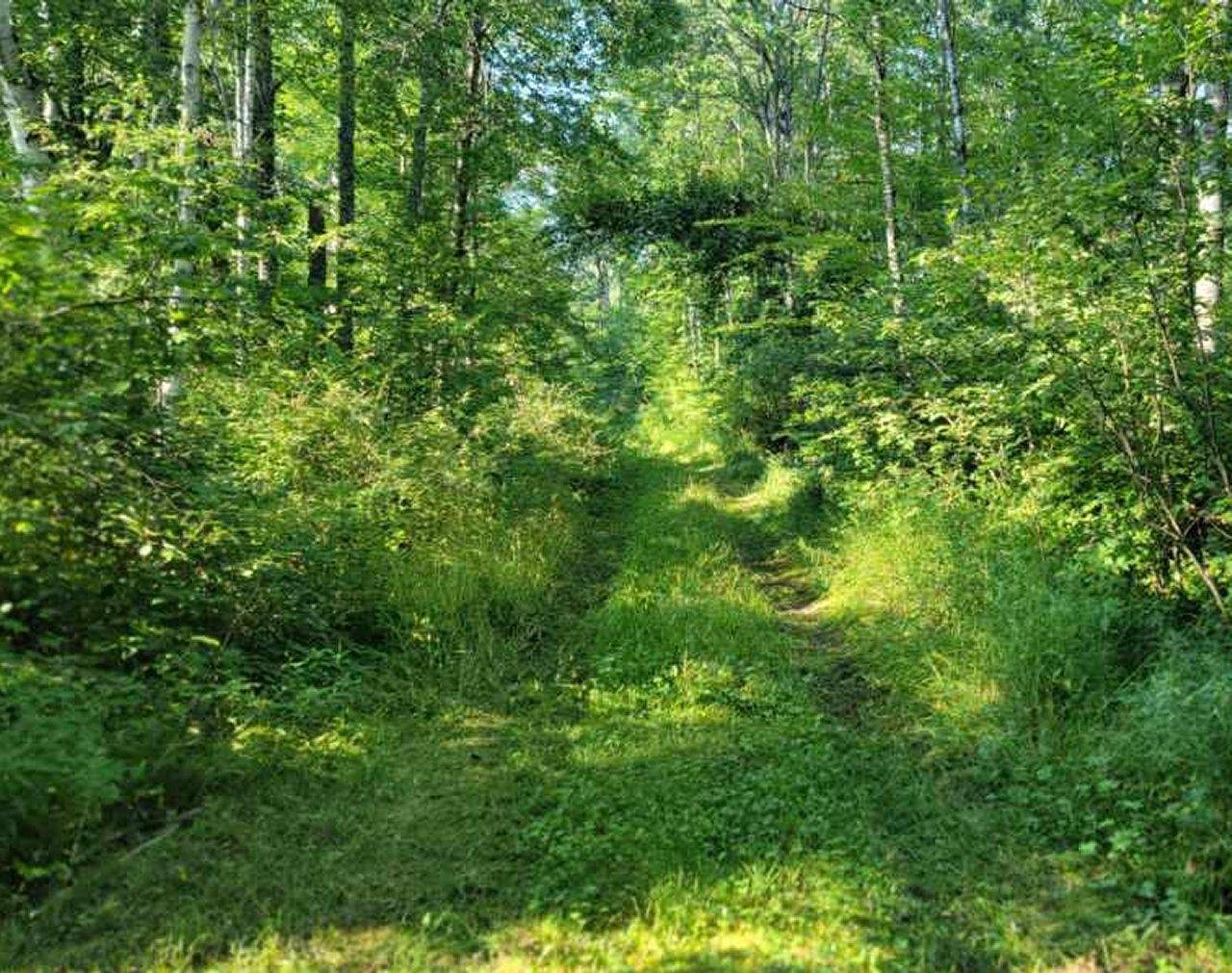 Ojibwa, WI 54862,ON DAISY LN