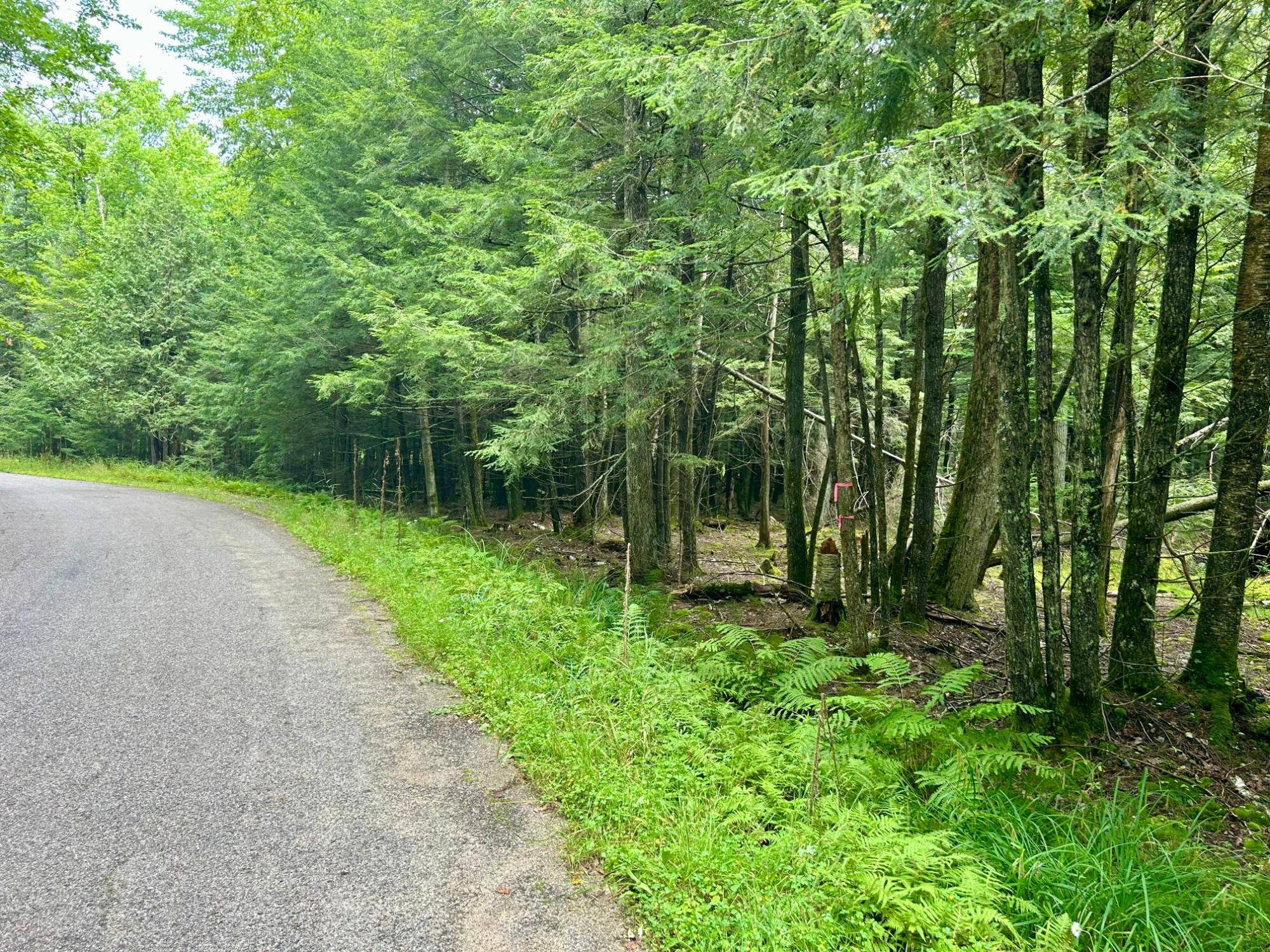 Pelican Lake, WI 54463,ON WEST BAY RD