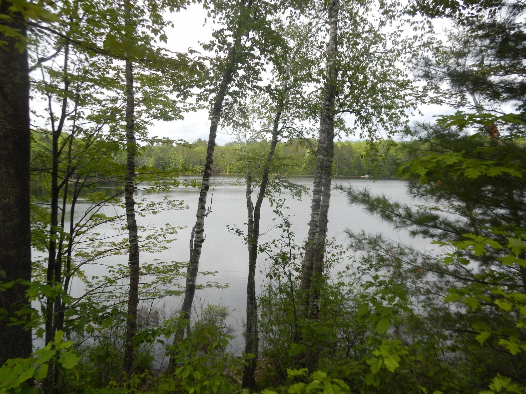 Land O Lakes, WI 54540,6120 CLAIRE FIRE RD