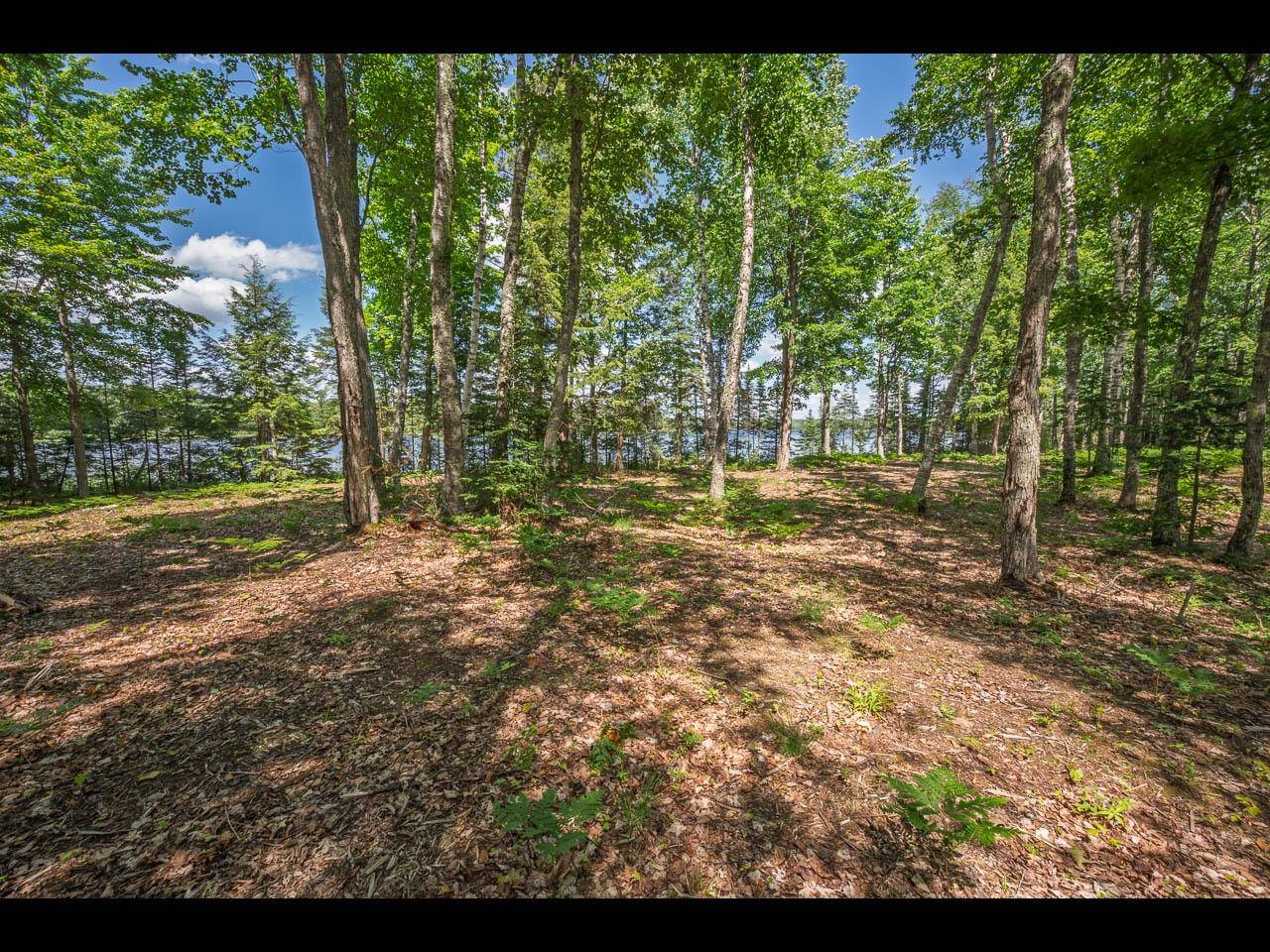 Eagle River, WI 54521,Lot 165 CLEARWATER LAKE TR