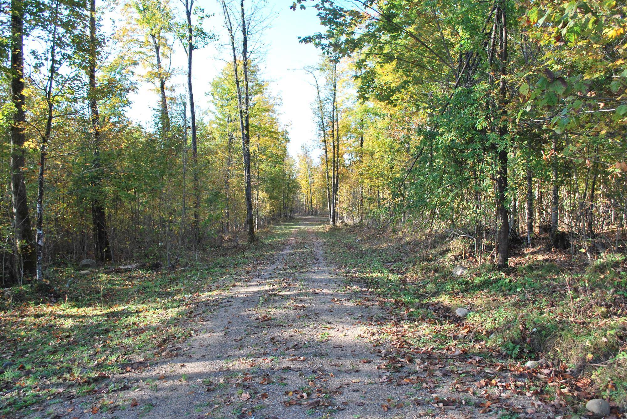 Crandon, WI 54520,NEAR HWY 55