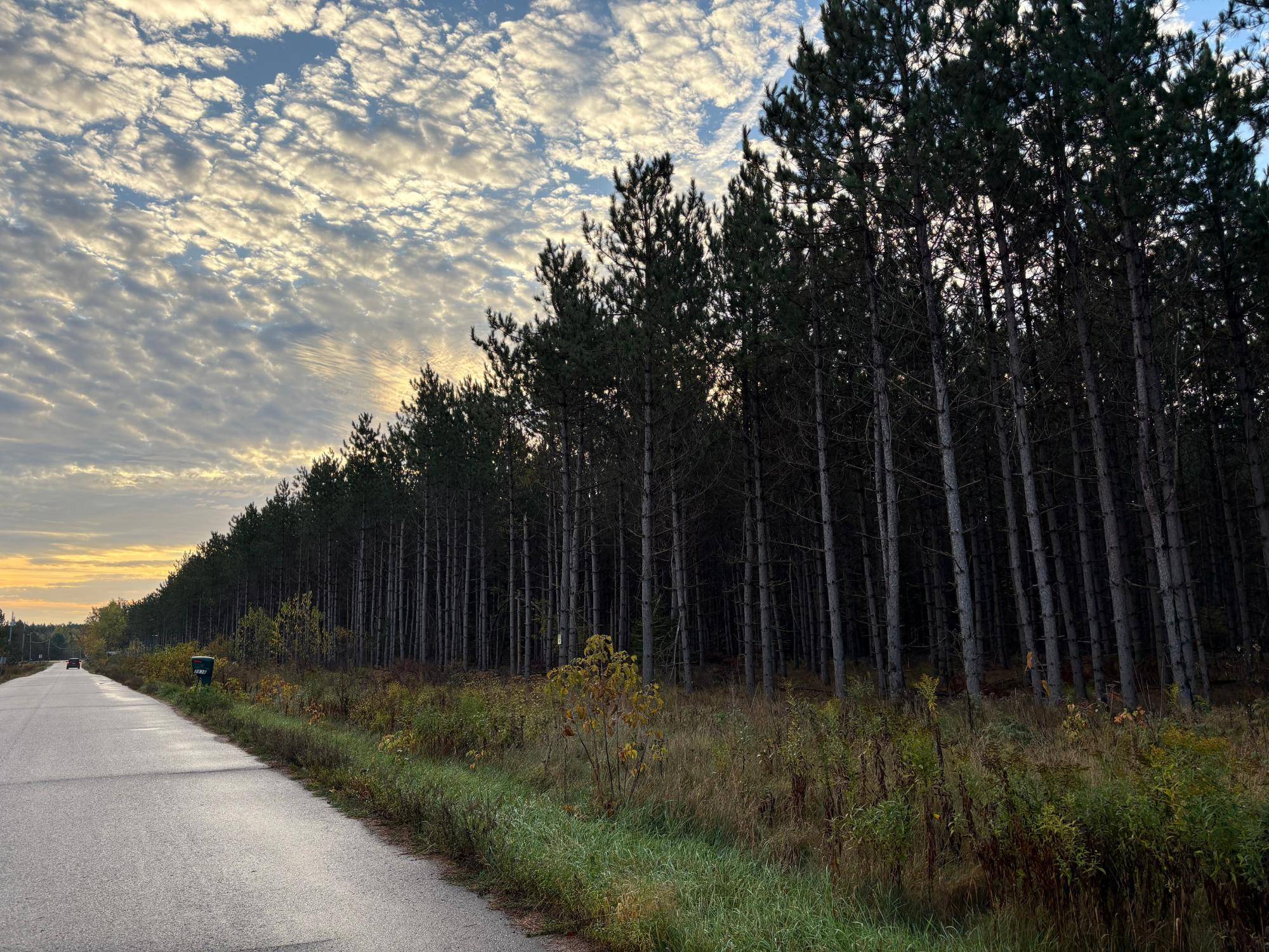 Pelican Lake, WI 54463,Lot 2 PLANTATION RD