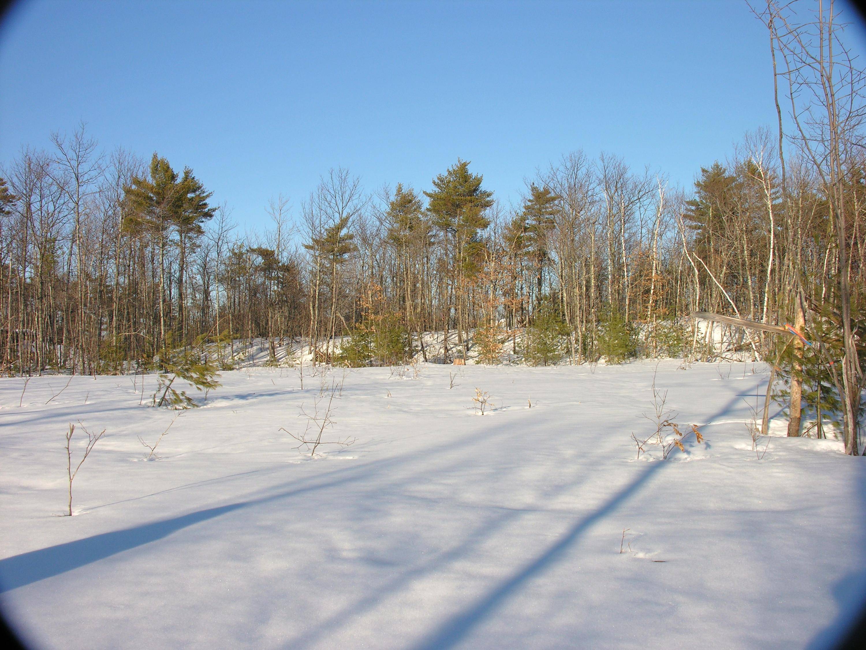 Raymond, ME 04071,Lot 7A Tarkiln Hill RD