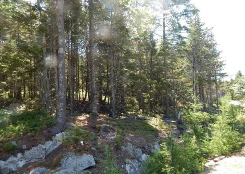 Southwest Harbor, ME 04679,39 Granite Road RD #Lot 4