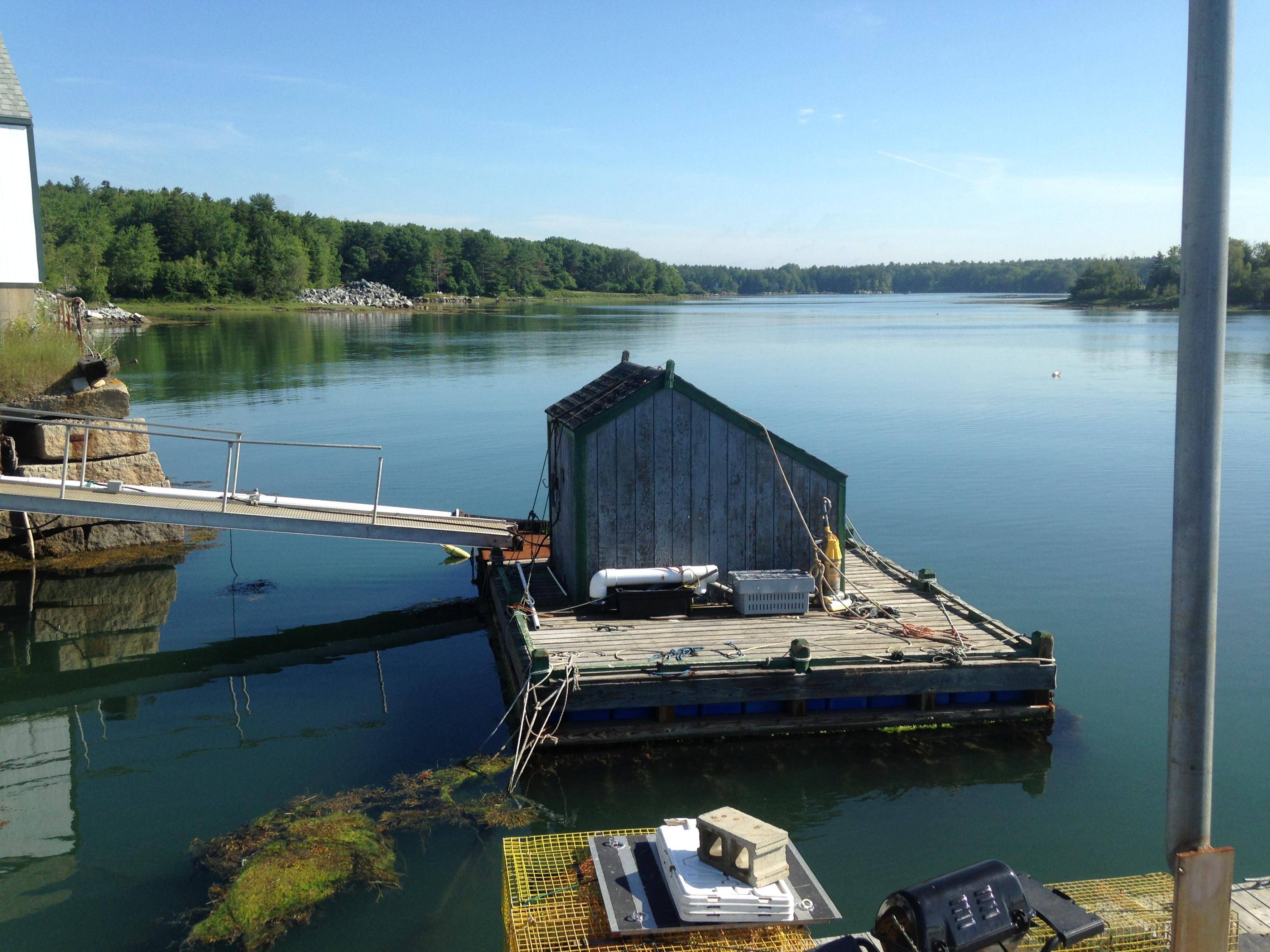 Saint George, ME 04860,56 Mussel Farm RD