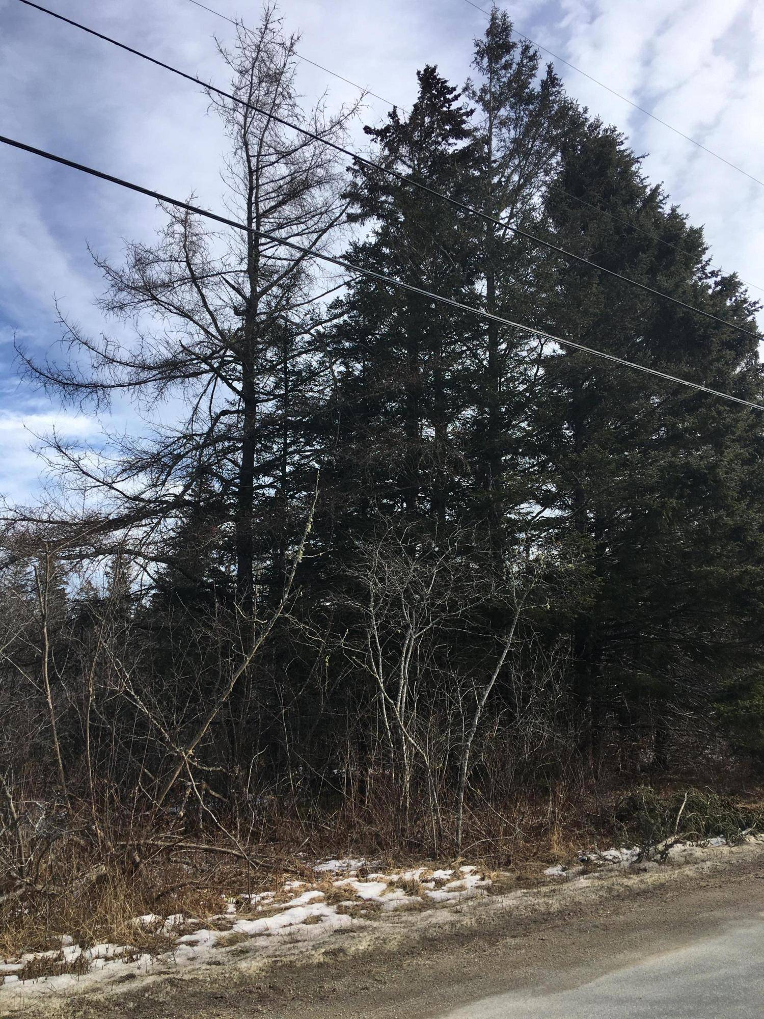 Steuben, ME 04680,0 Smithville RD