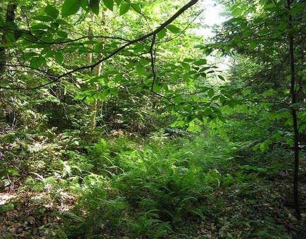 Beddington, ME 04622,Lot 8 Route 193