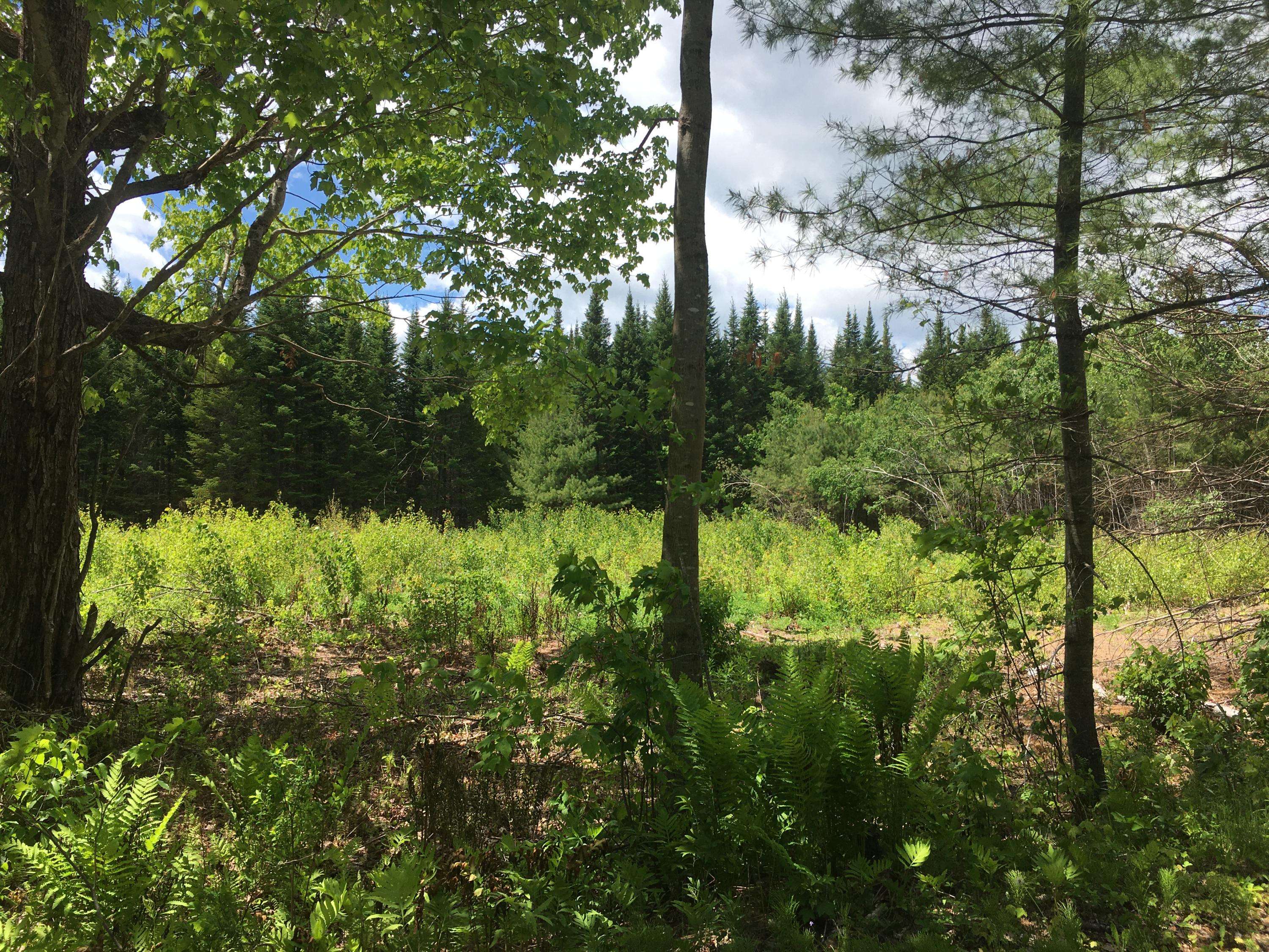 Norridgewock, ME 04957,M6L40-4 Bombazee Road