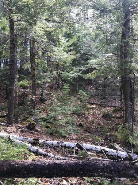 Naples, ME 04055,45-8 Walter Hill Rd