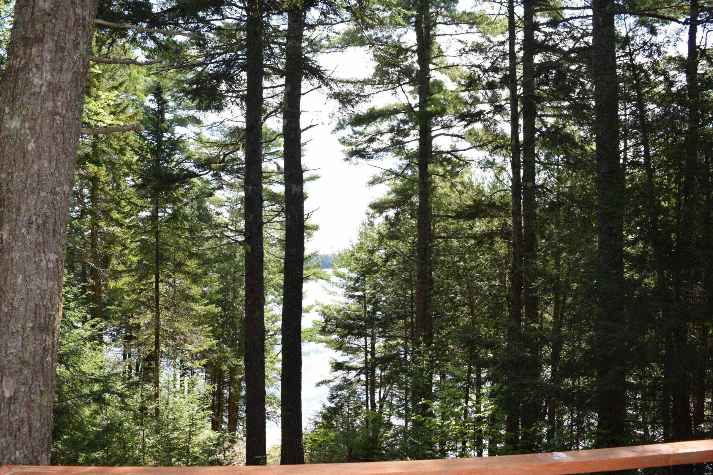 Beddington, ME 04622,41 Ridge LN