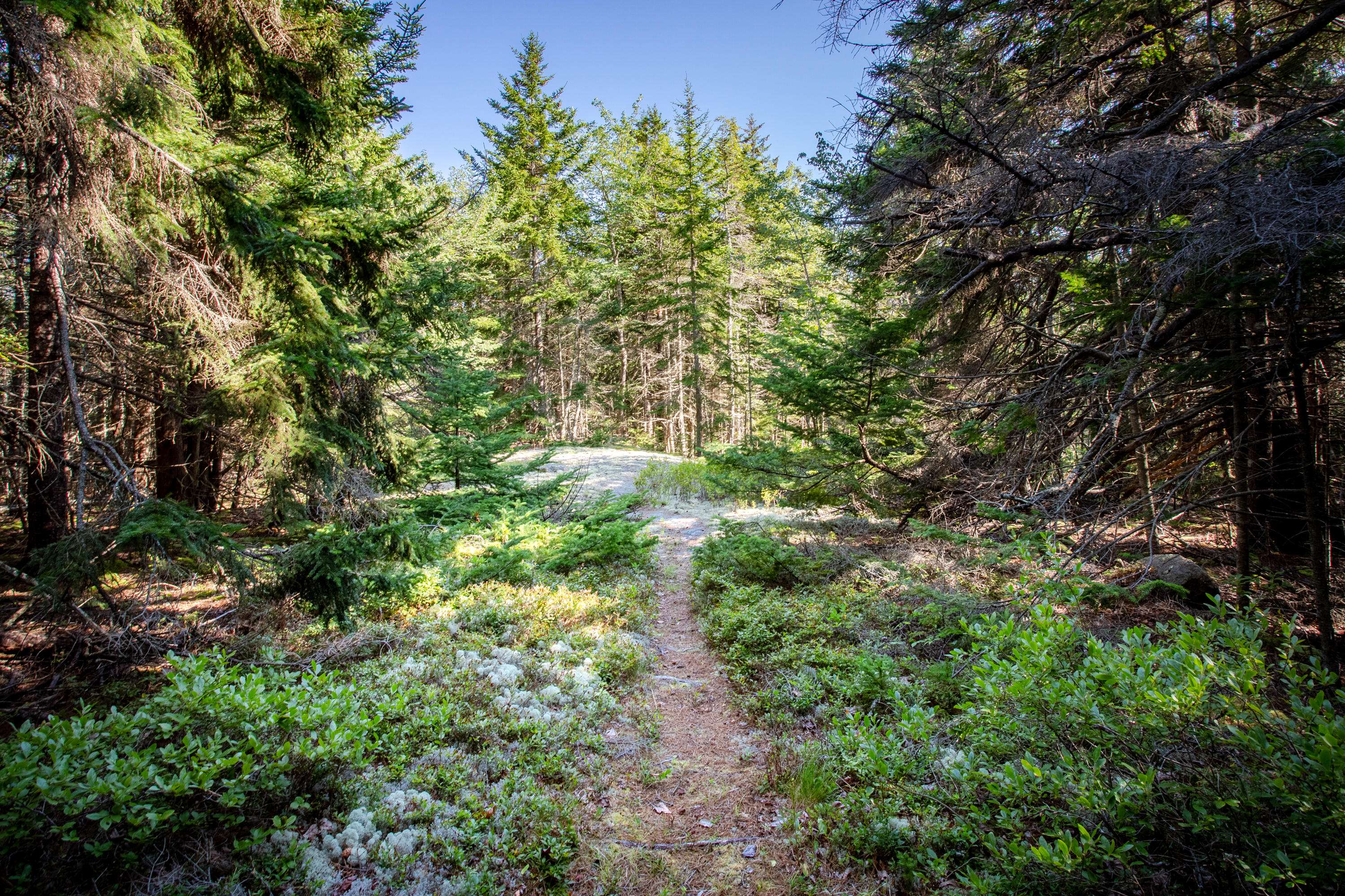 Mount Desert, ME 04675,Lot 8 Rock Garden Way