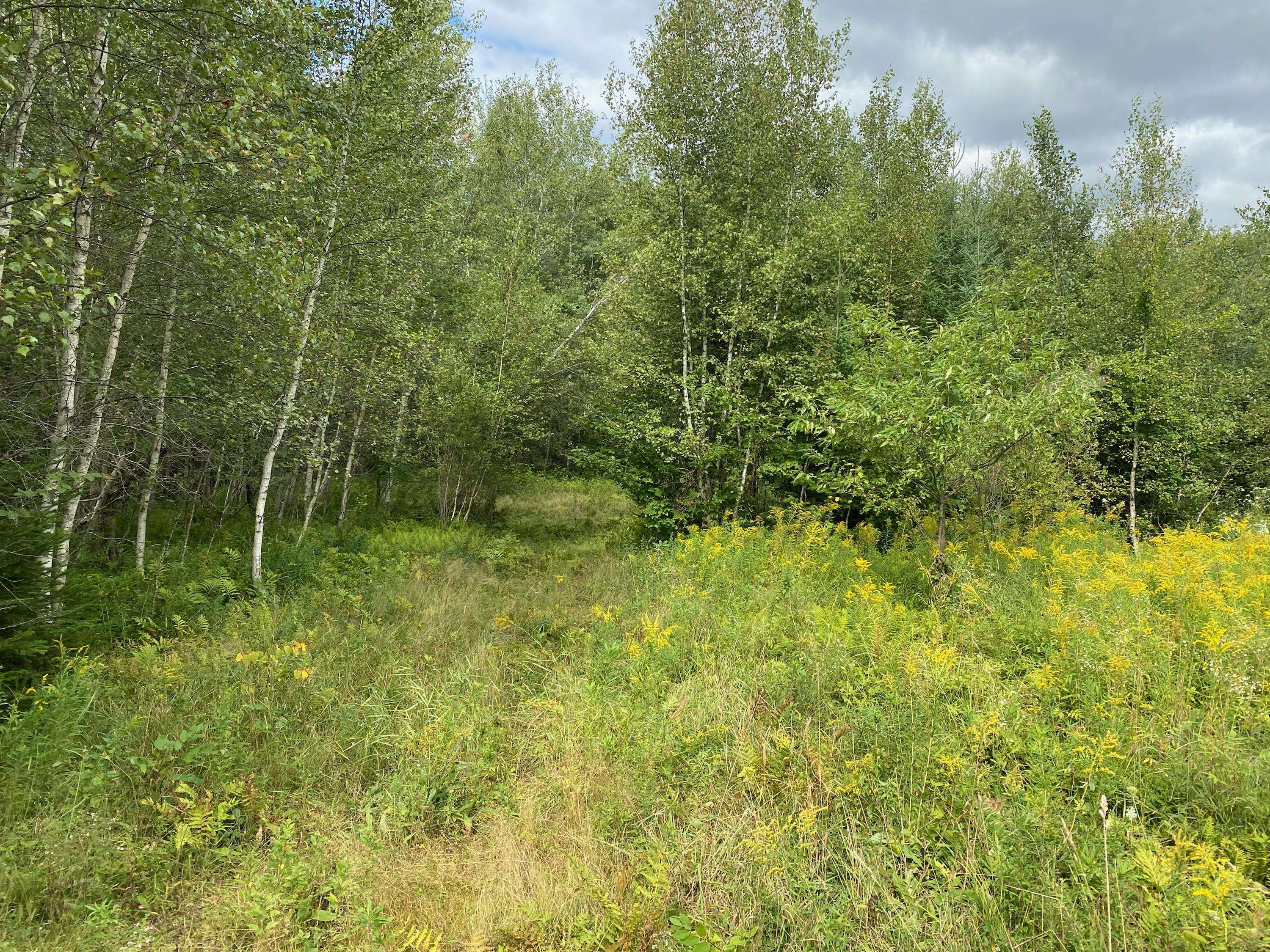 Farmington, ME 04938,182 + 188 Music RD