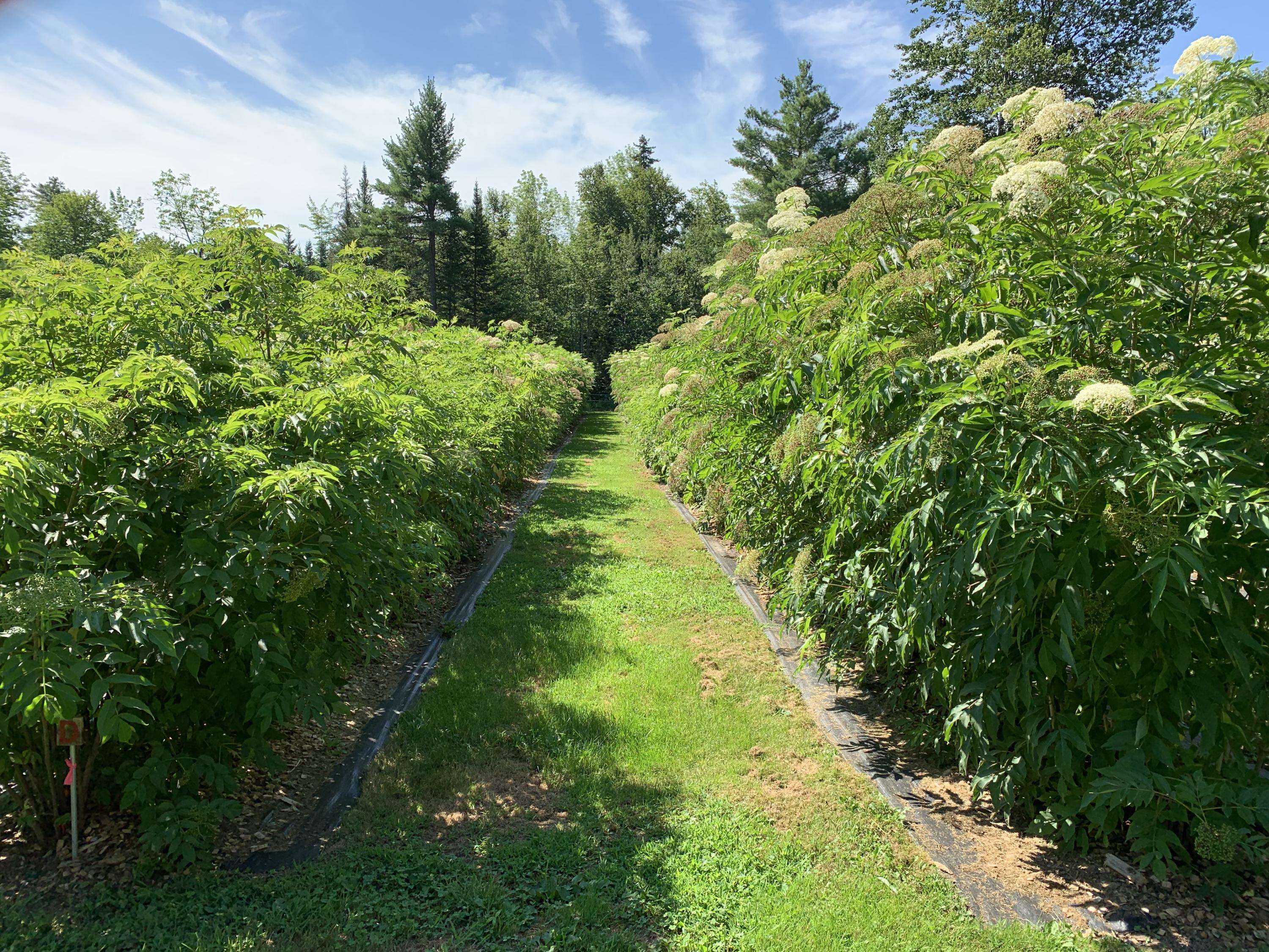 Belgrade, ME 04917,194 Bartlett RD