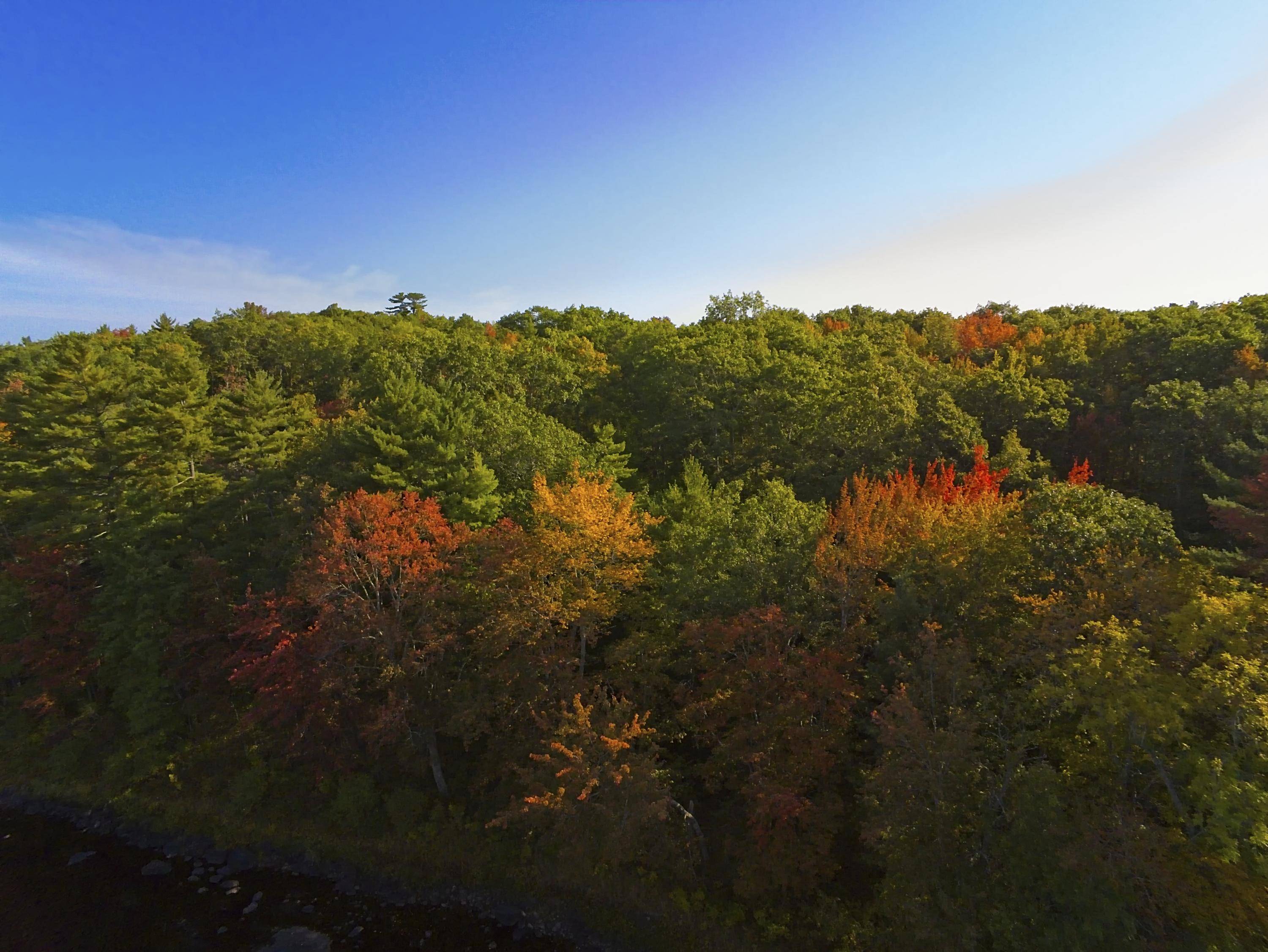 Warren, ME 04864,145 Crawford Hill Road RD