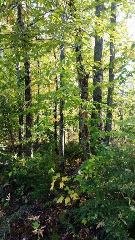 New Portland, ME 04961,9 Millay Hill RD