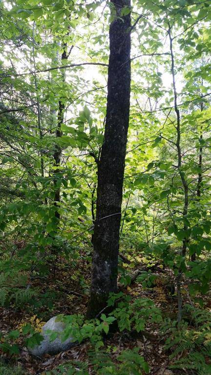 New Portland, ME 04961,9 Millay Hill RD