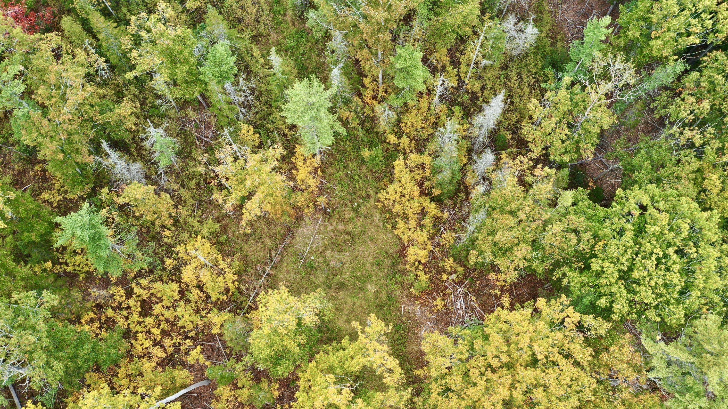 Thomaston, ME 04861,00 Atlantic HWY