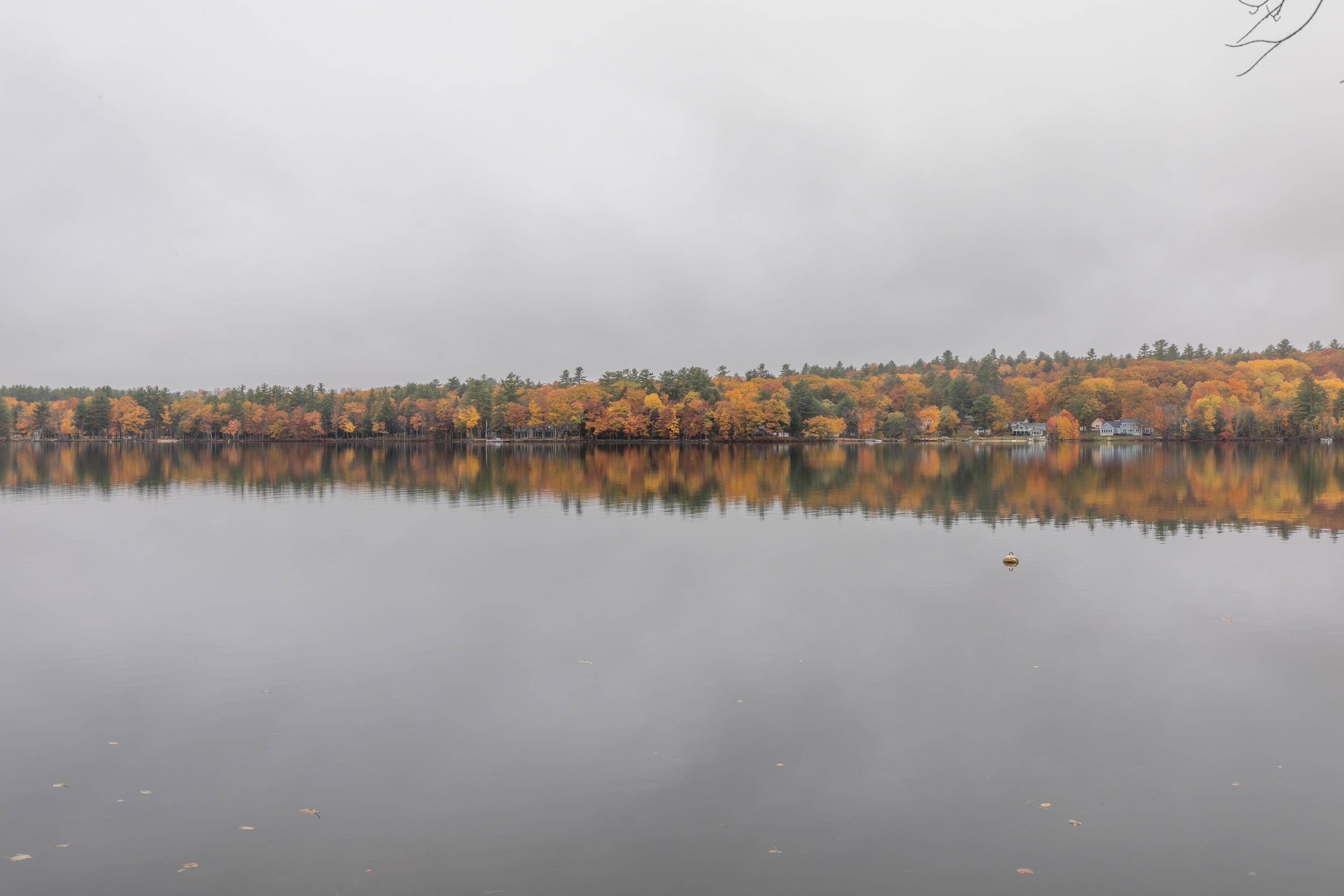 Harrison, ME 04040,33 Front ST