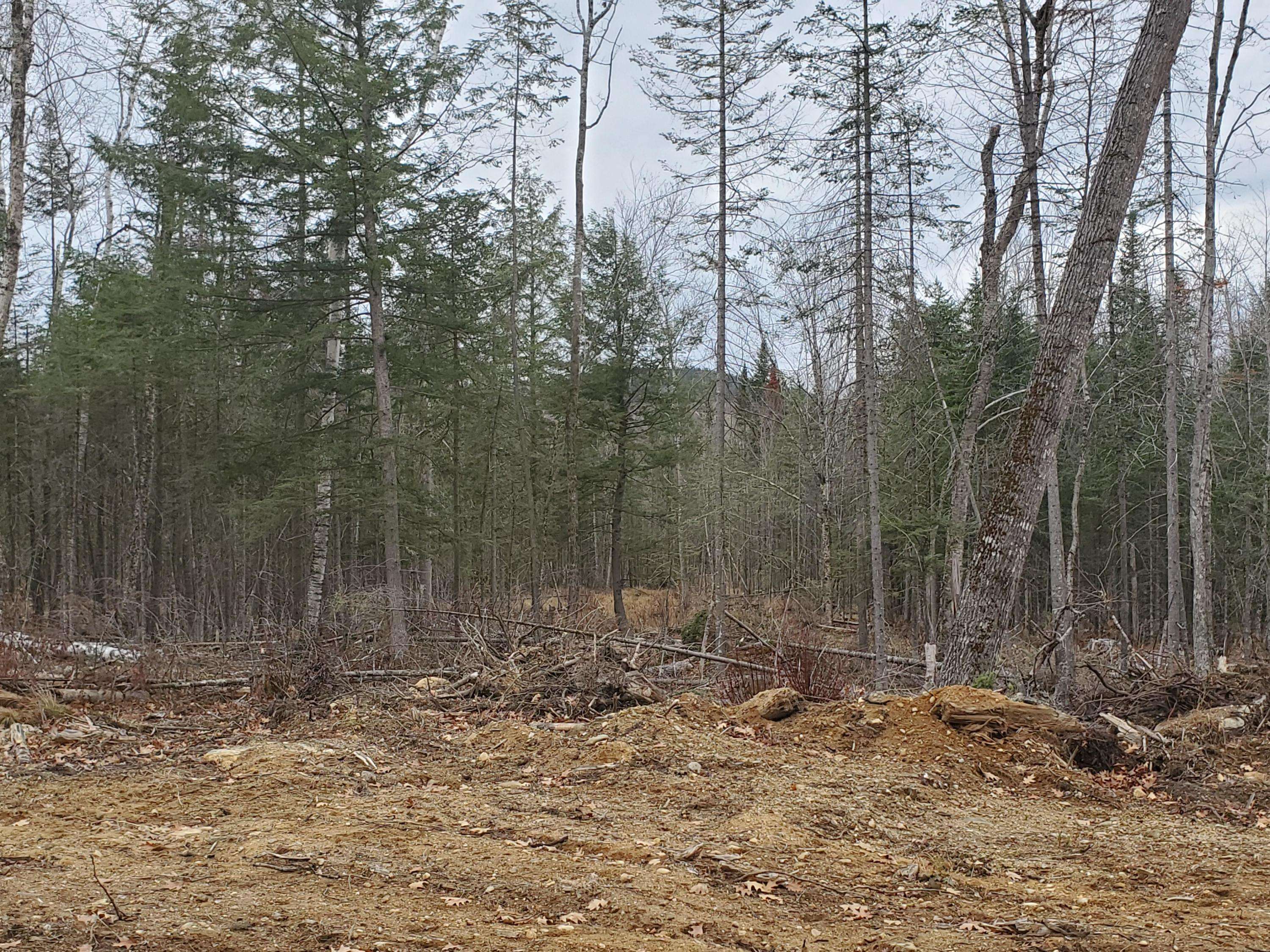 Paris, ME 04281,000 Route 117/Buckfield RD