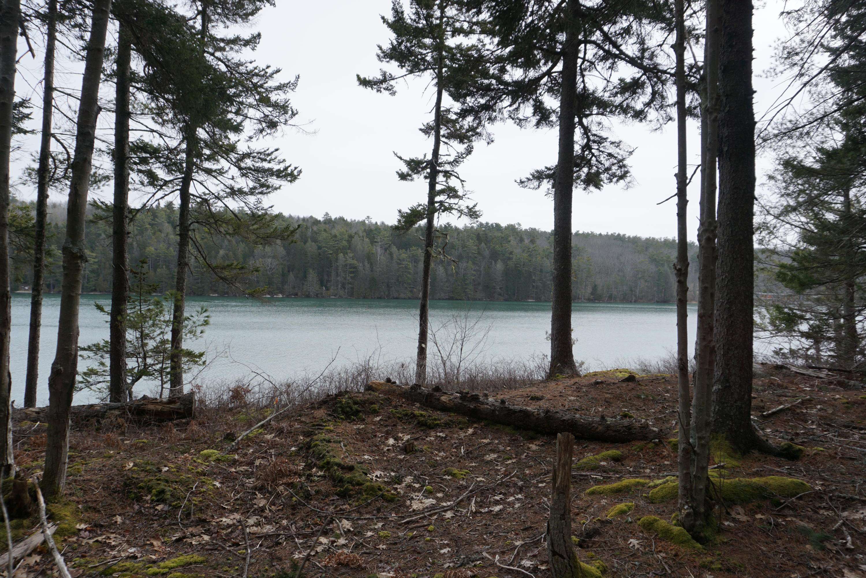 Westport Island, ME 04578,0 Castle LN