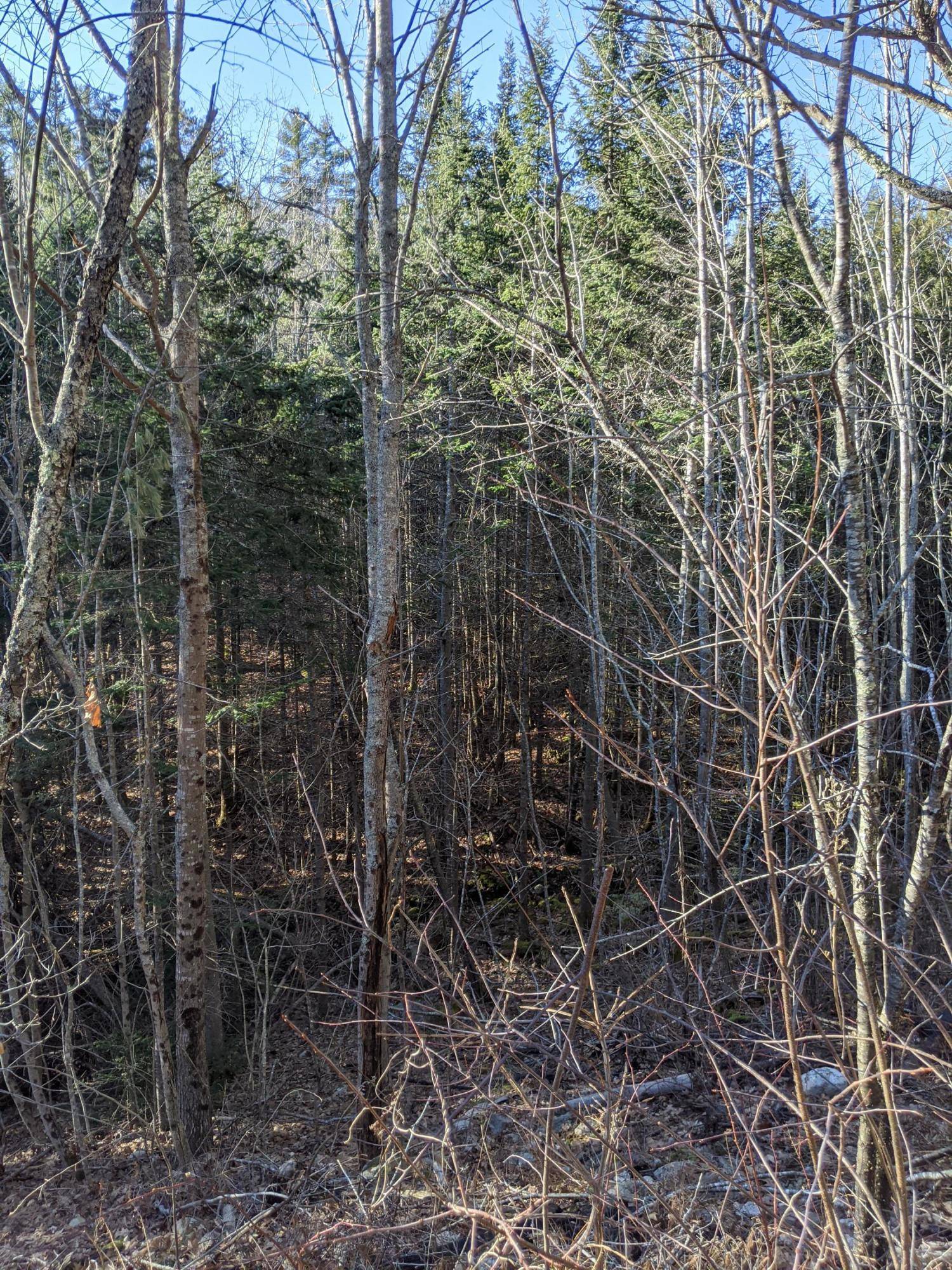 Wiscasset, ME 04578,R06 -023 Bayview Heights