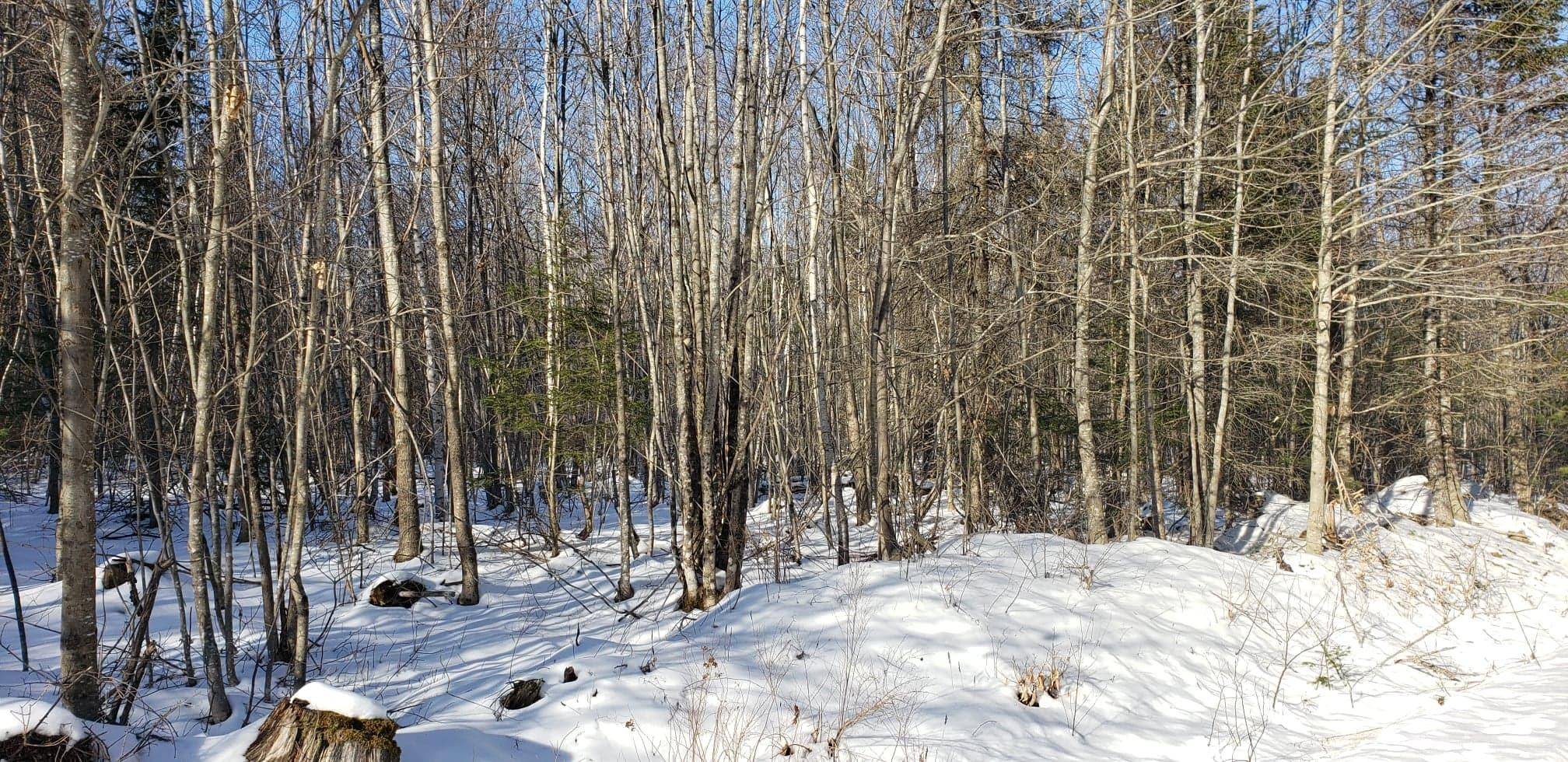 Windsor, ME 04363,0 Lot B Pierce's Point RD