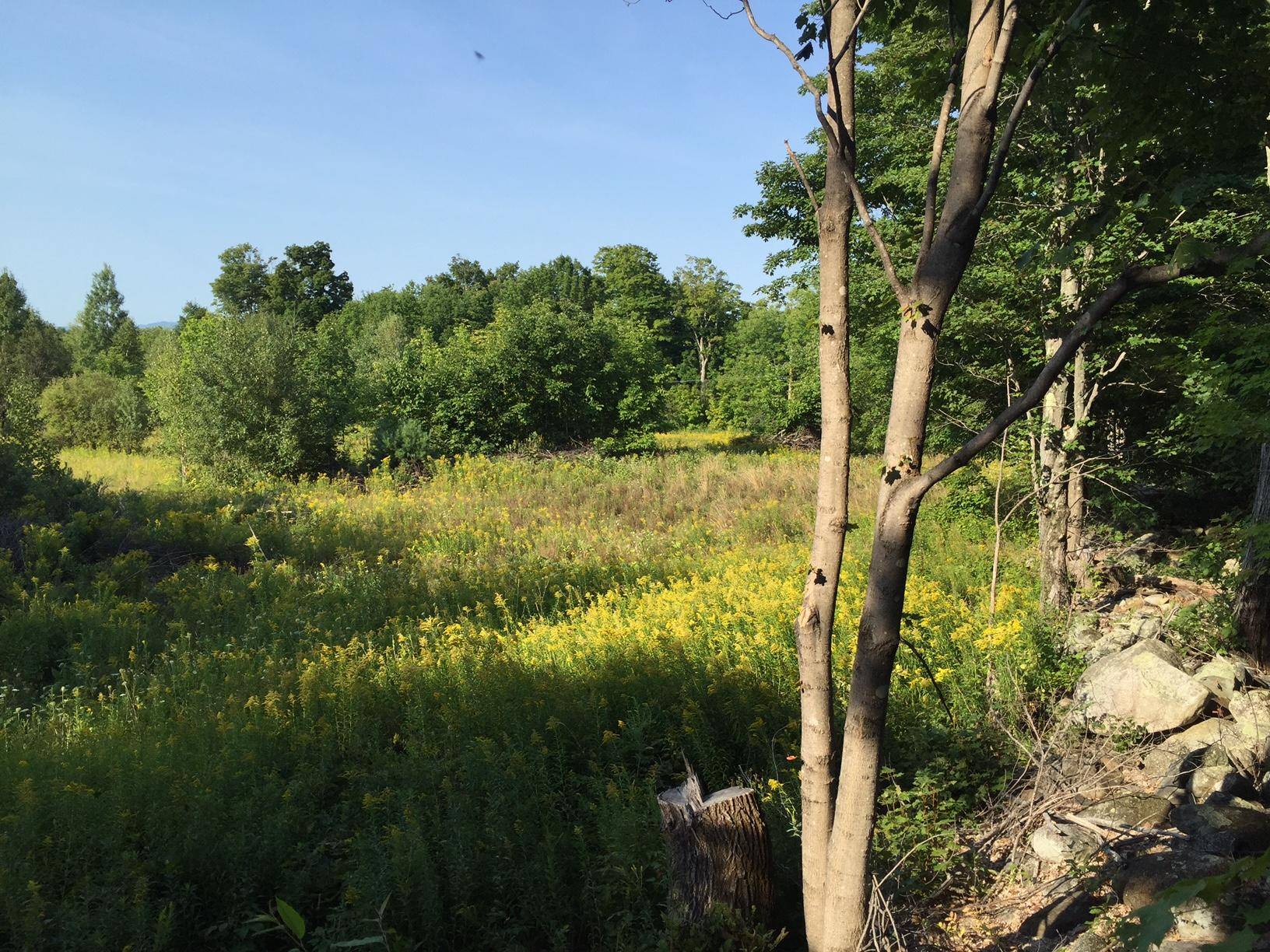 Farmington, ME 04938,385 Mosher Hill RD