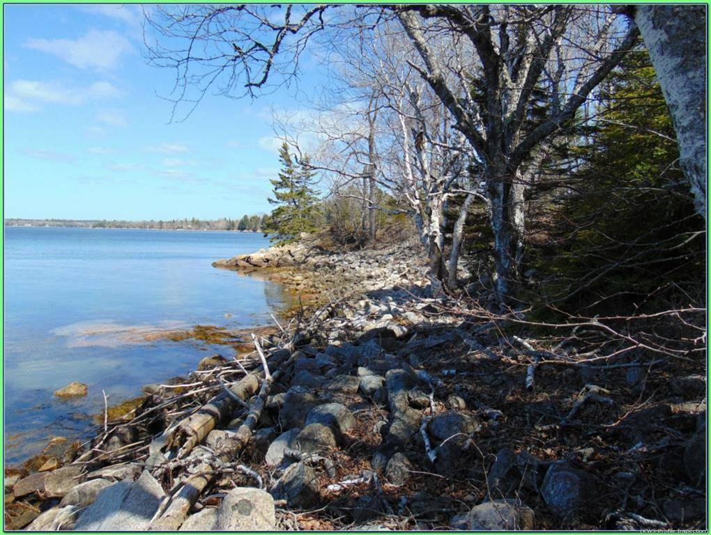 Steuben, ME 04680,Lot 10-3 Rogers Point Rd