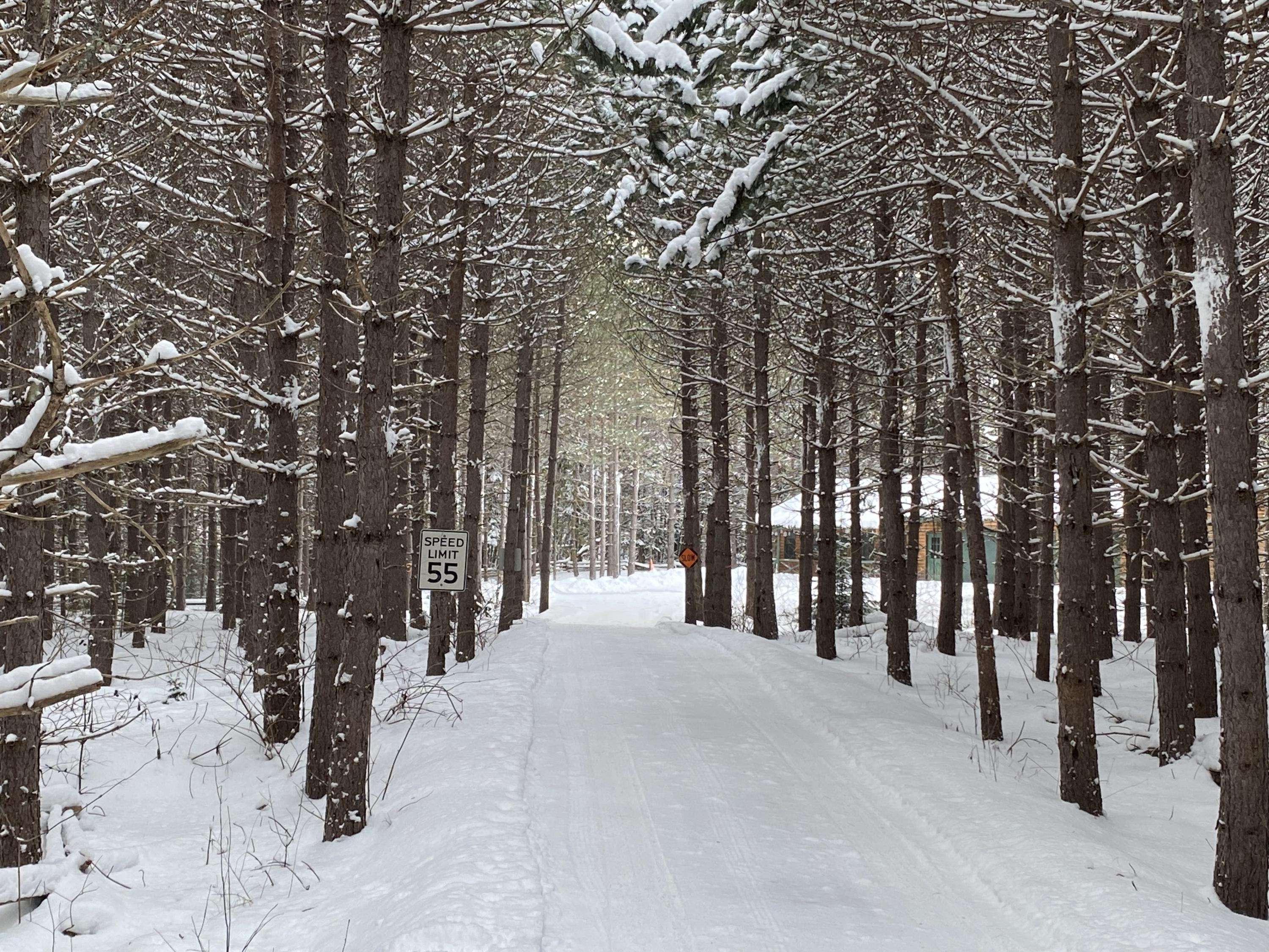 Presque Isle, ME 04769,10 White RD