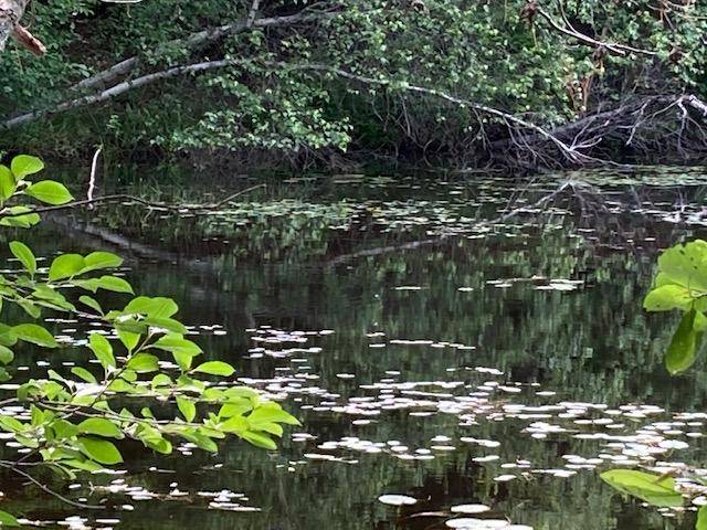 Limerick, ME 04048,25 Philpot's LNDG